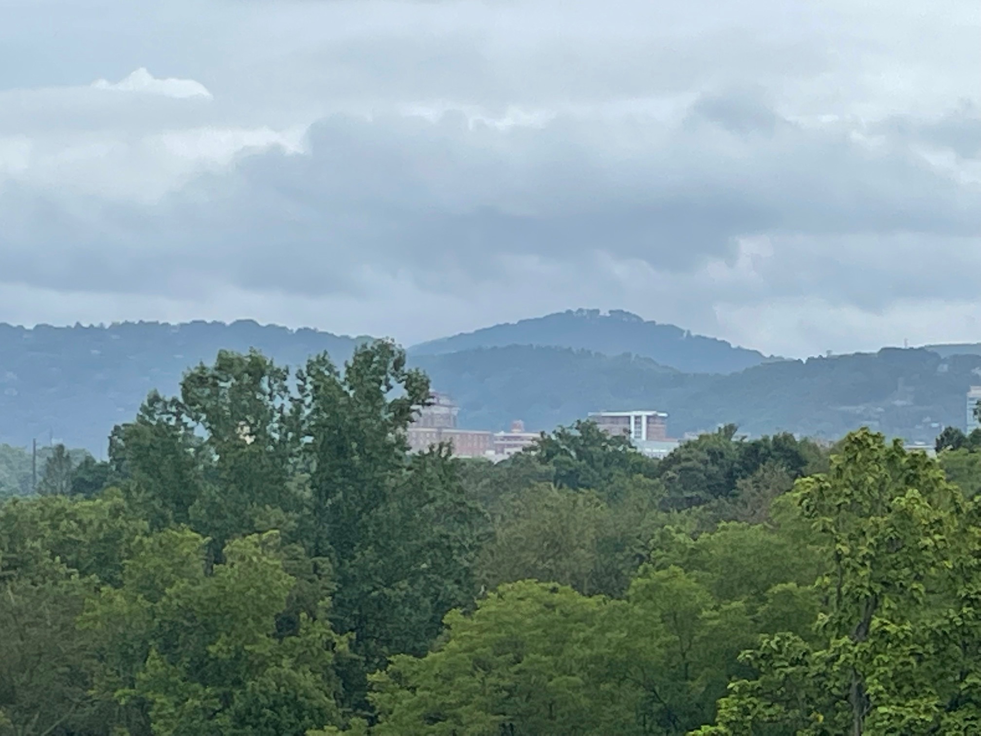 Oasis in the City in 28806, Asheville