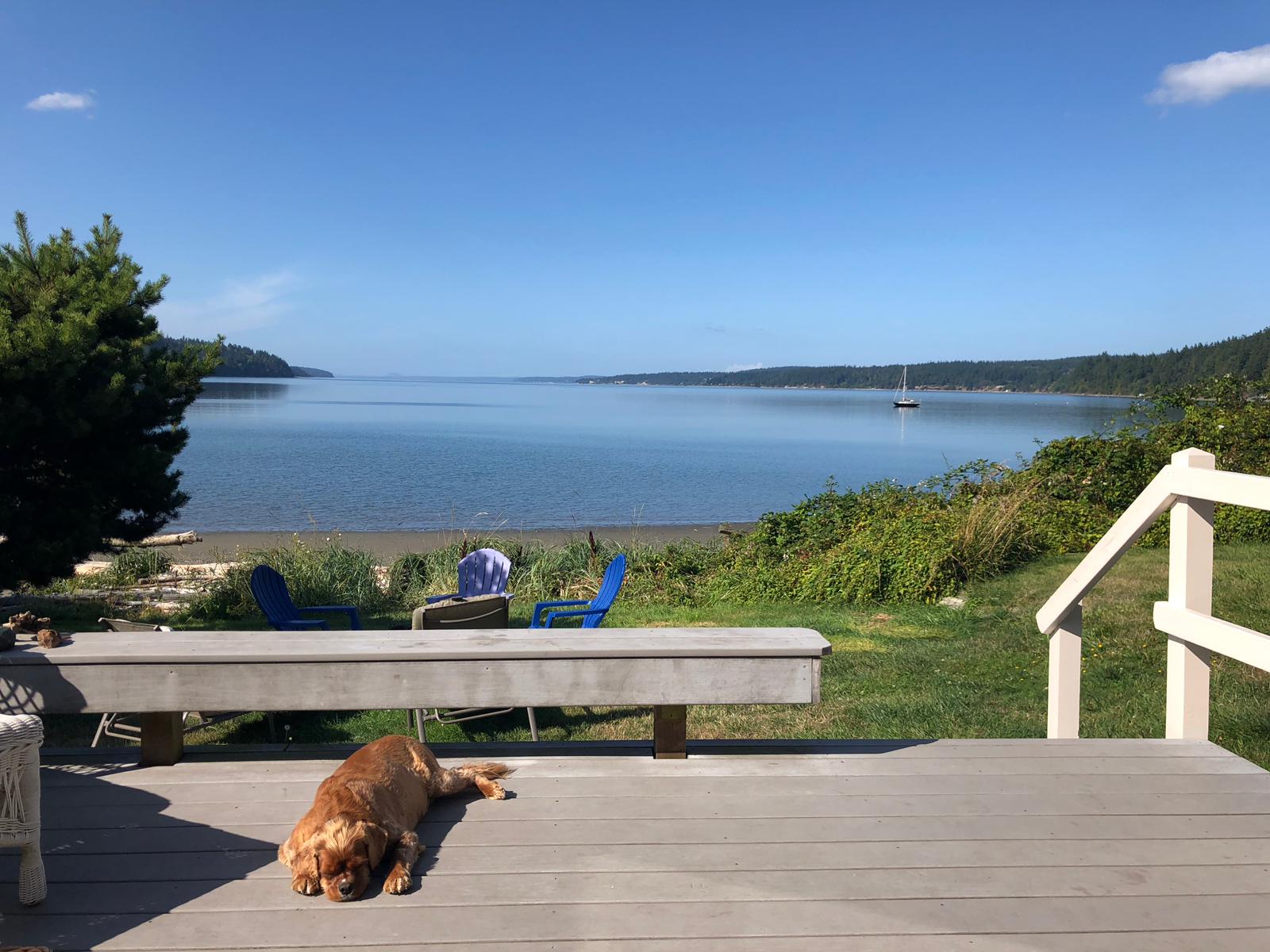 Beachfront cozy house quiet kayaks dogs fire pit Houses for Rent in