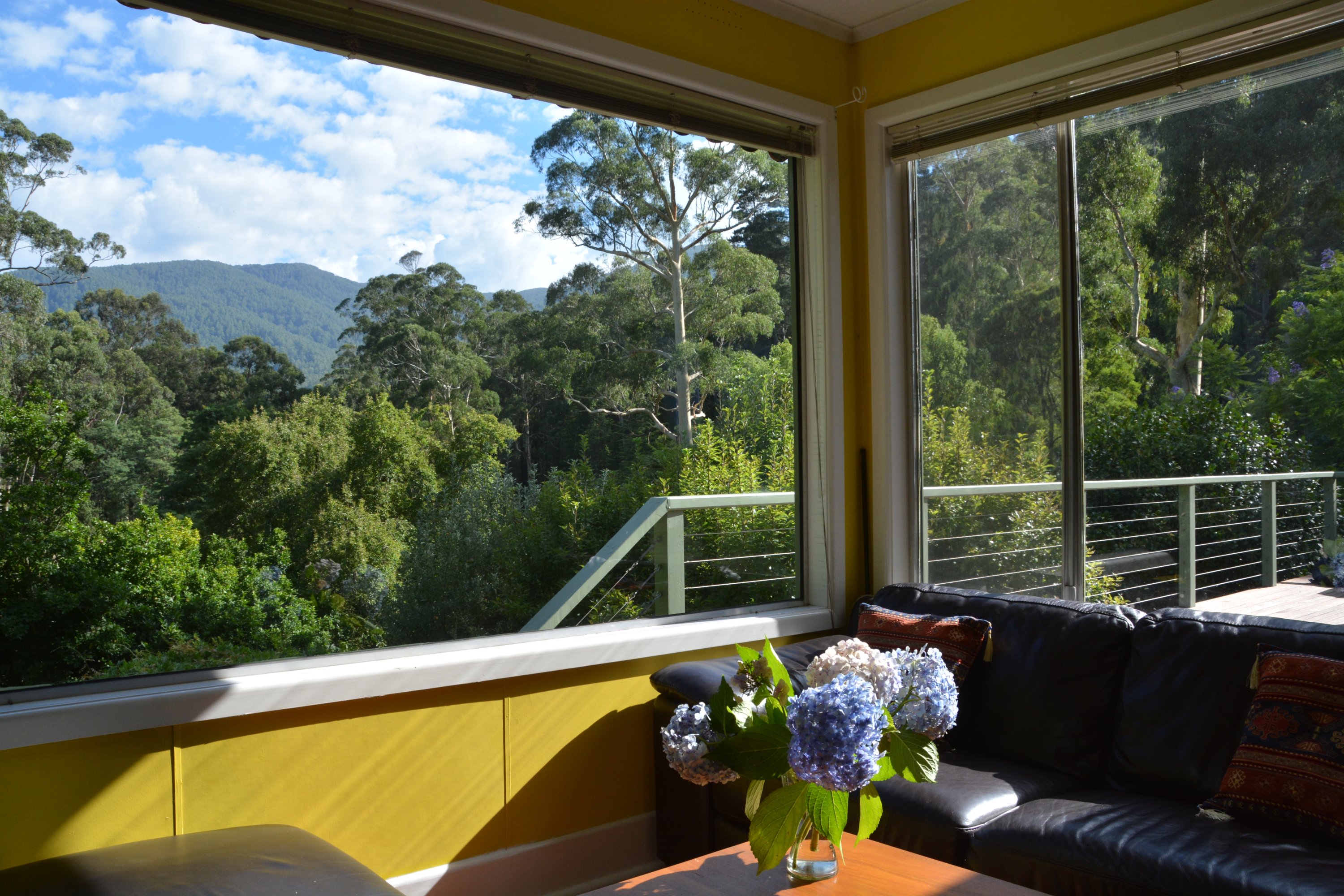 Twin Creek Cottage - a forest-lover's paradise.