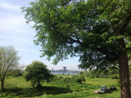 Family house on shores Amsterdam IJ — Amsterdam stay