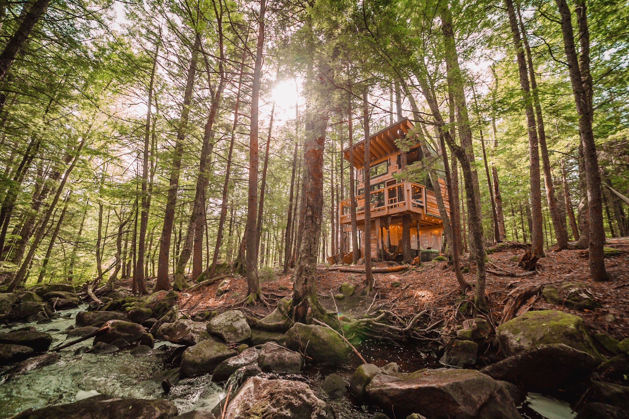 Lovely Treehouse in the Woods next to Stream Treehouses for Rent in