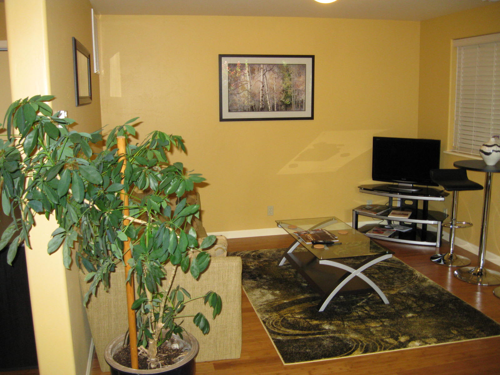 Stunning View and Apartments for Rent in Eureka