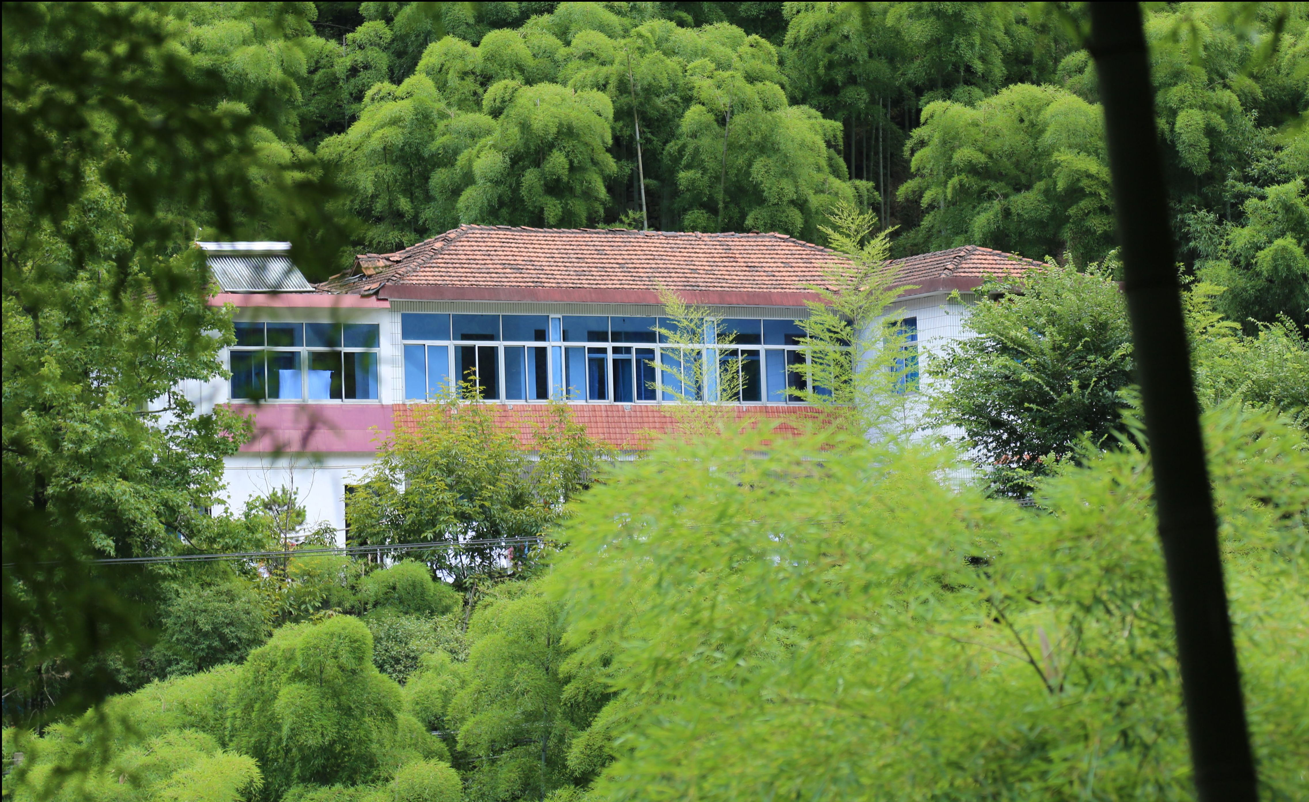Airbnb爱彼迎 安吉茗泉独栋4间家庭房近漂流浙北大峡谷独立干湿分离卫生间山泉野茶高山蔬笋竹林鸡停车