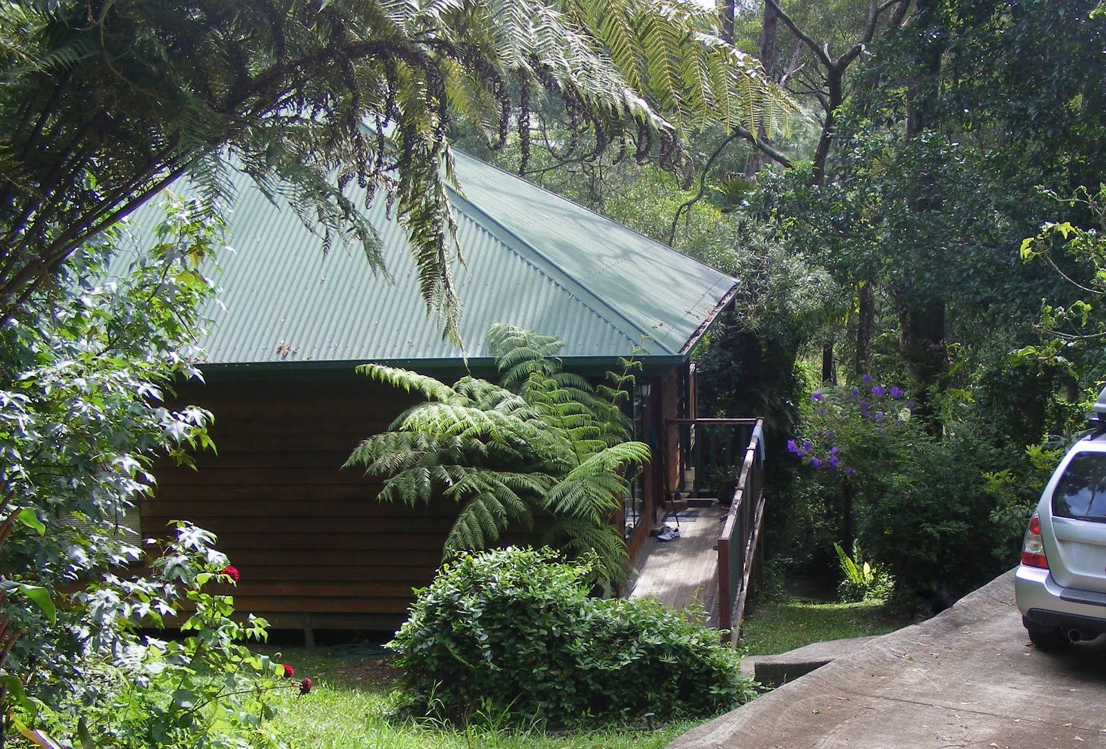 Dragonfly Cottage Springbrook Cottages for Rent in Springbrook, Queensland, Australia