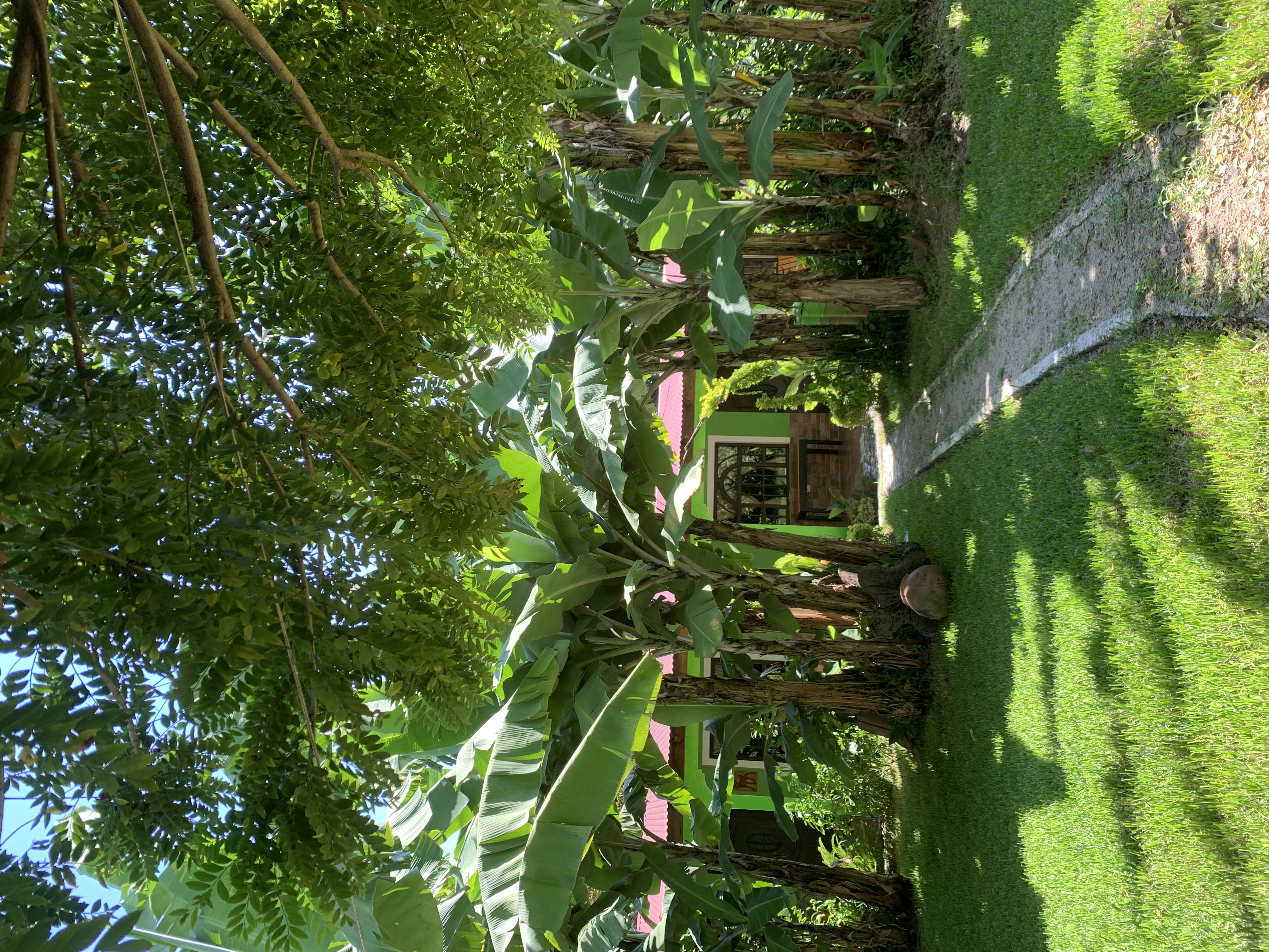 Katy Garden #2