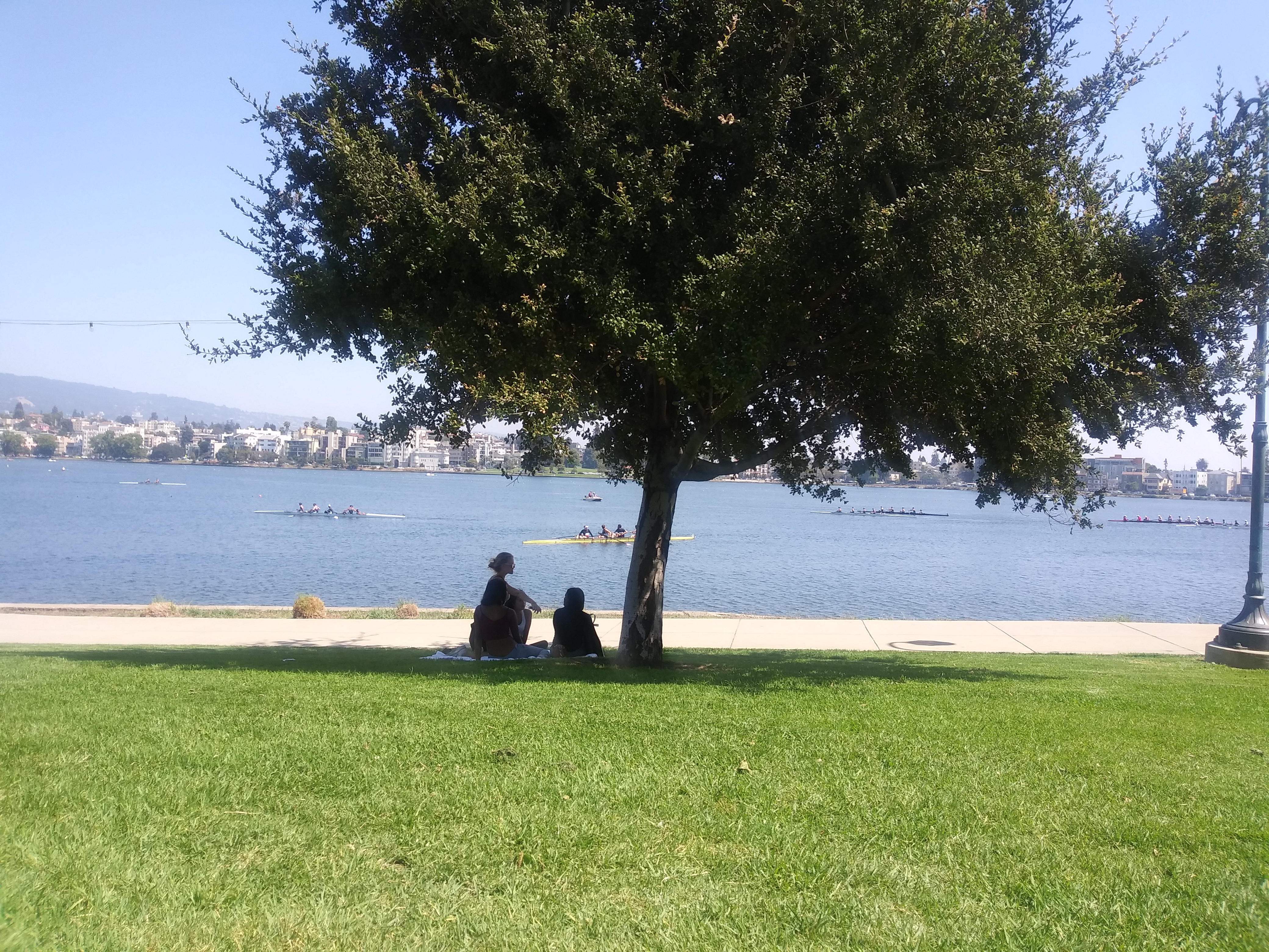 Lake Merritt 4 Bed 4 Bath Top Loc & Value in Grand Lake, Oakland