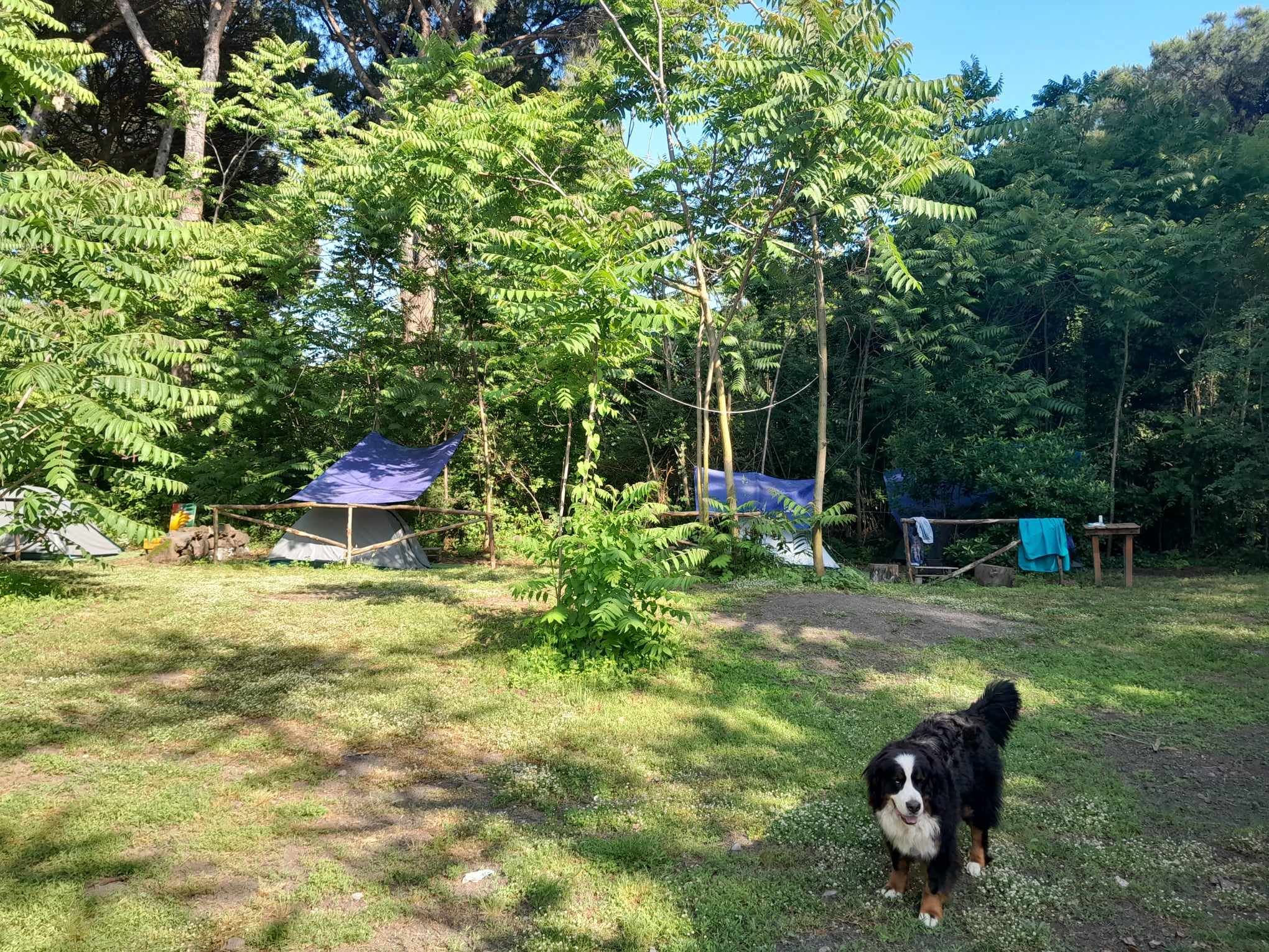 Tent space for two