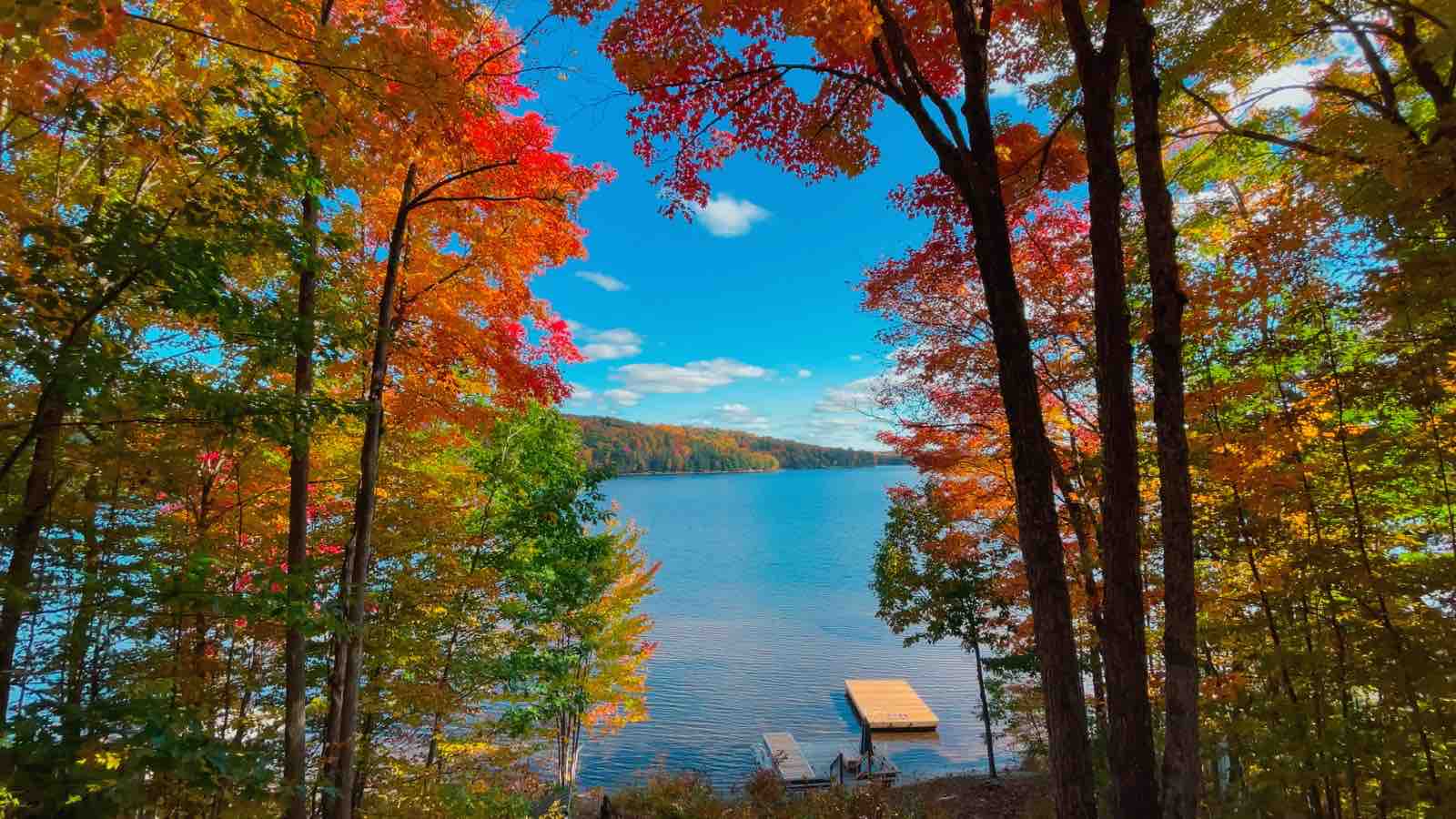 Lakefront Cottage with *EPIC FALL VIEWS!*