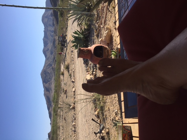 Terlingua Casita de Chile
