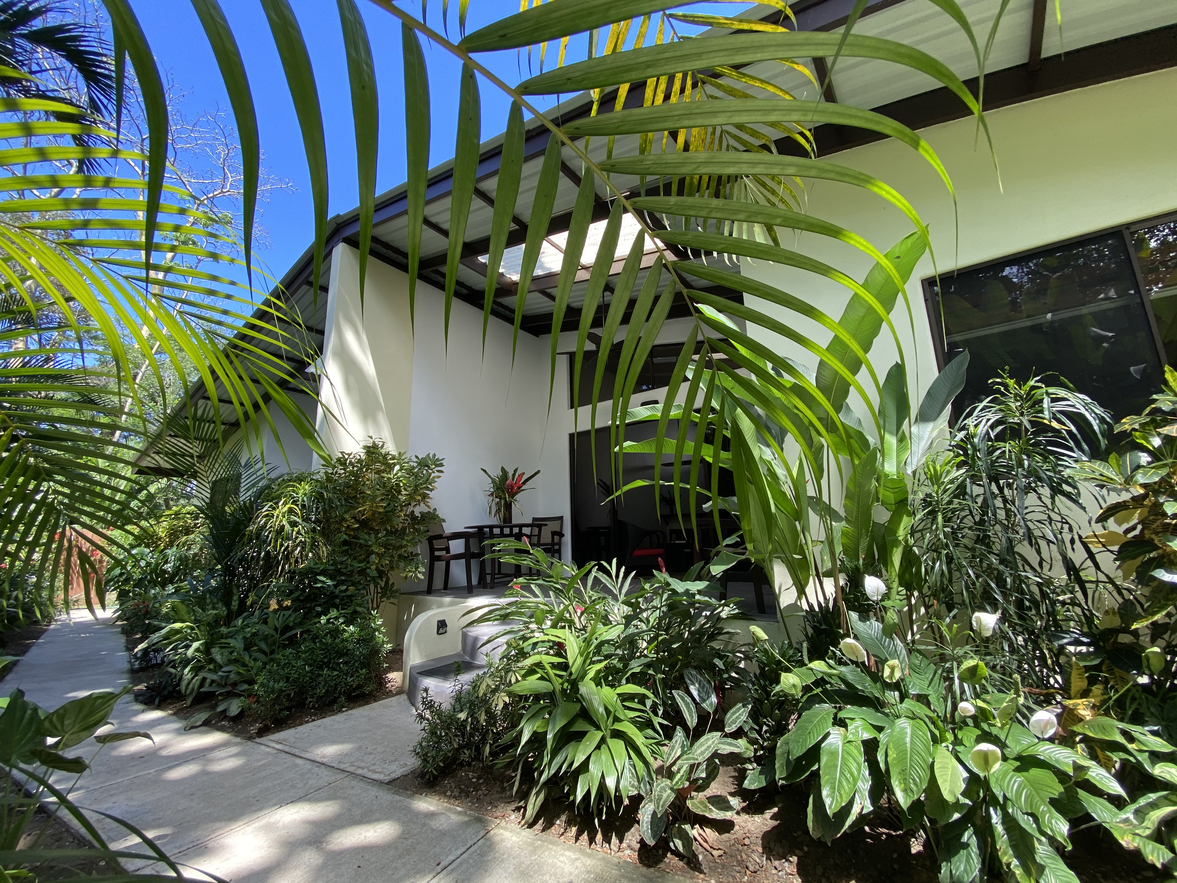 Oasis Osa - Luxury in Nature - Beach Villas