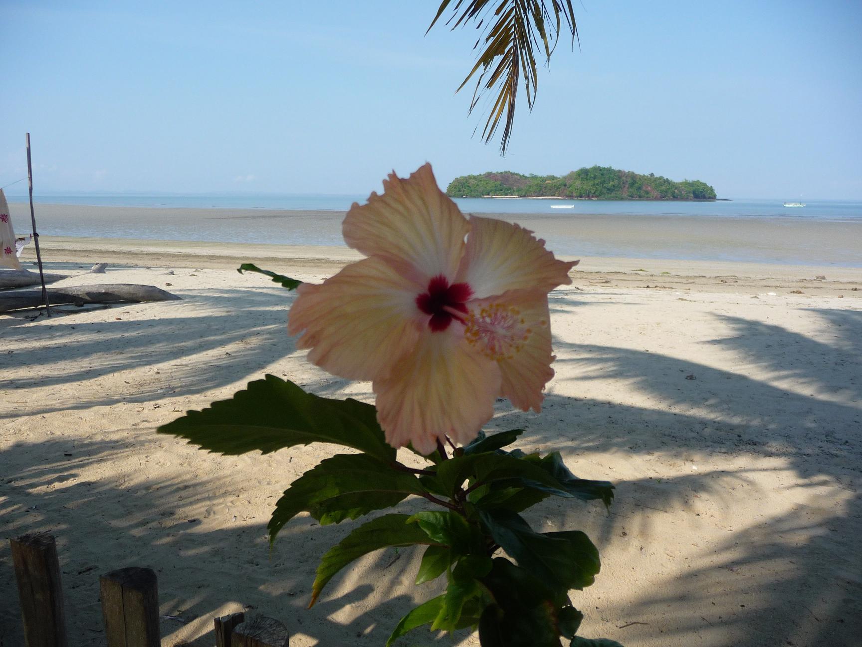 Chez Paul et Denise/Studio by the sea in Nosybe