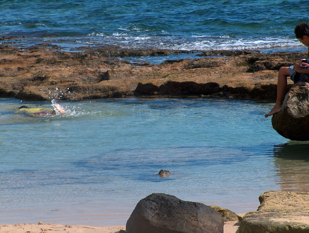 4BR Hawaiian Dreams Beach House steps to beach! Houses for Rent in