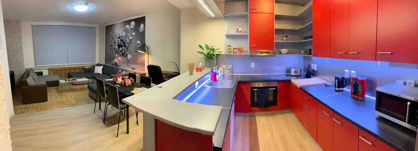 Spacious apartment in the very center of Prague