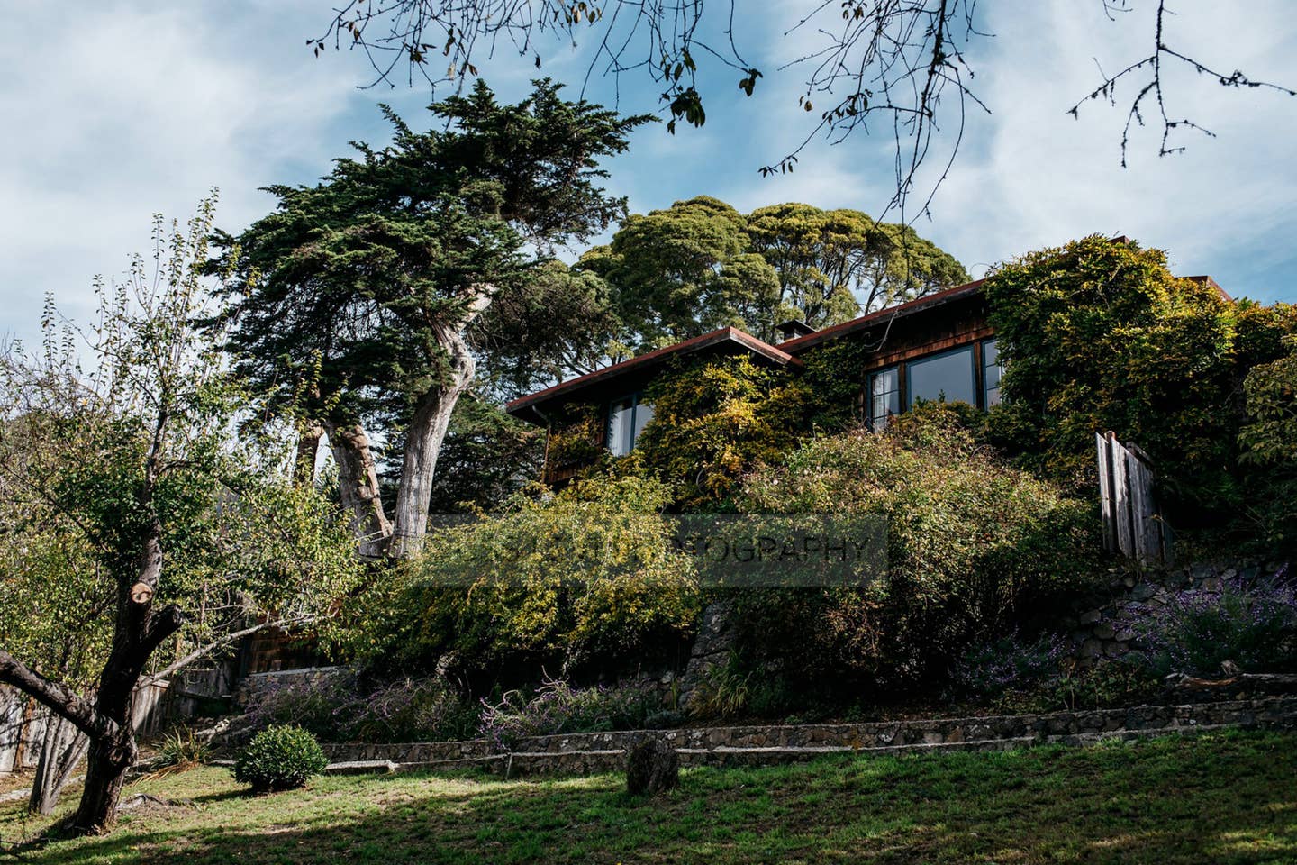 All of Willow Camp Estate and Gardens Villas for Rent in Stinson