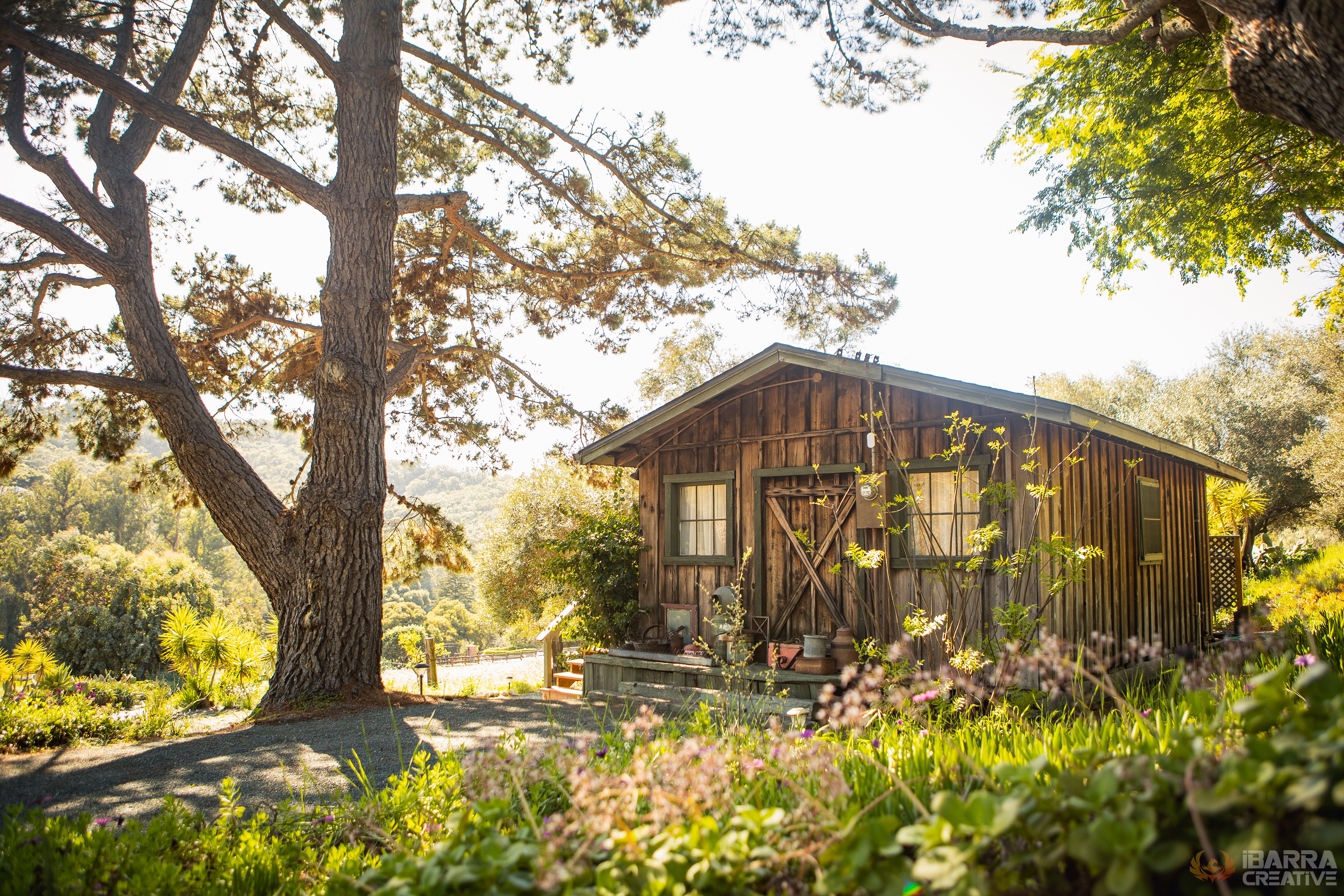 Olive Tree Cabin: Rustic Charm - Quiet Countryside