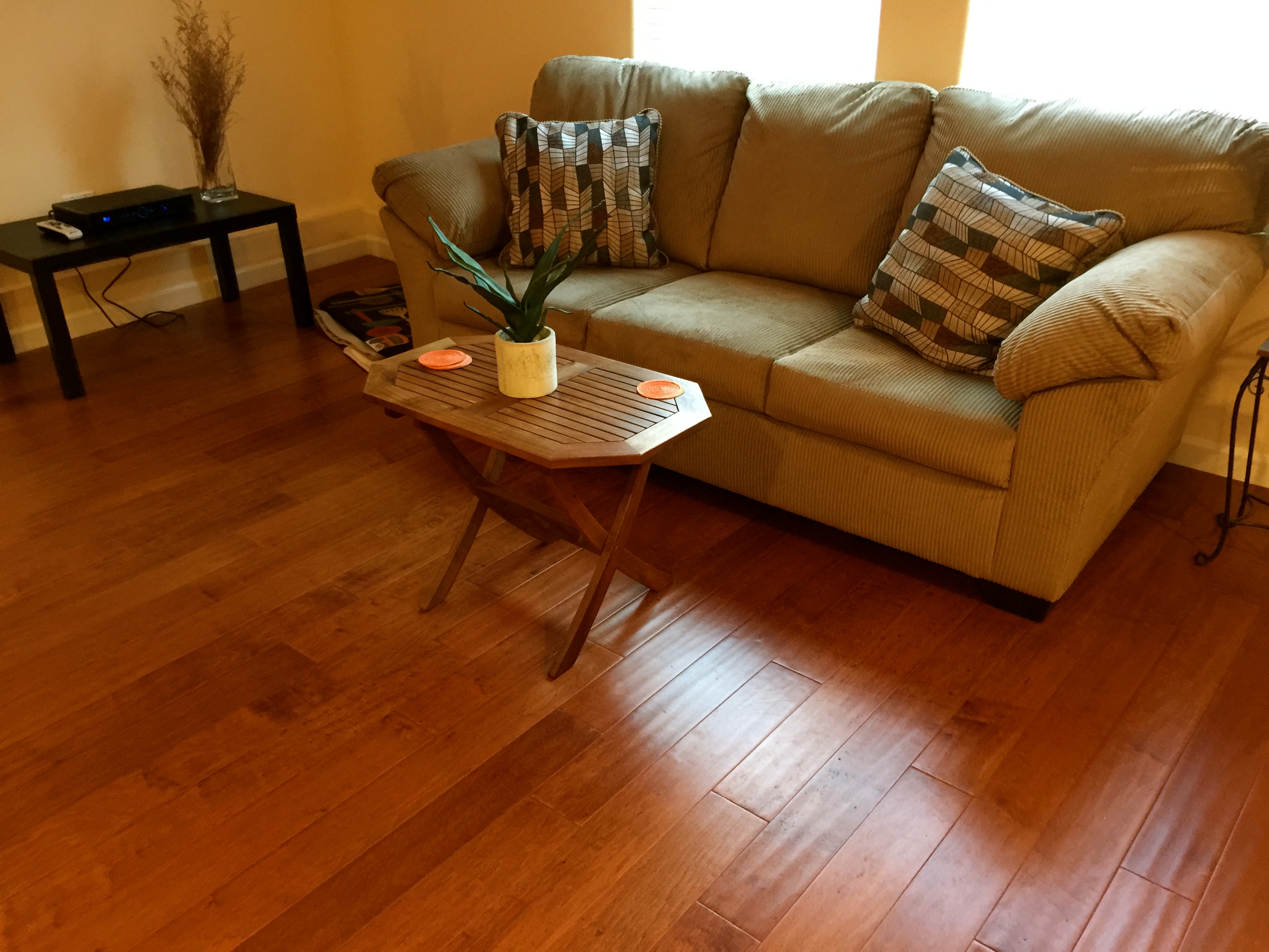 Beautiful Cozy Cottage in a Great Location! in Lakeshore, Oakland
