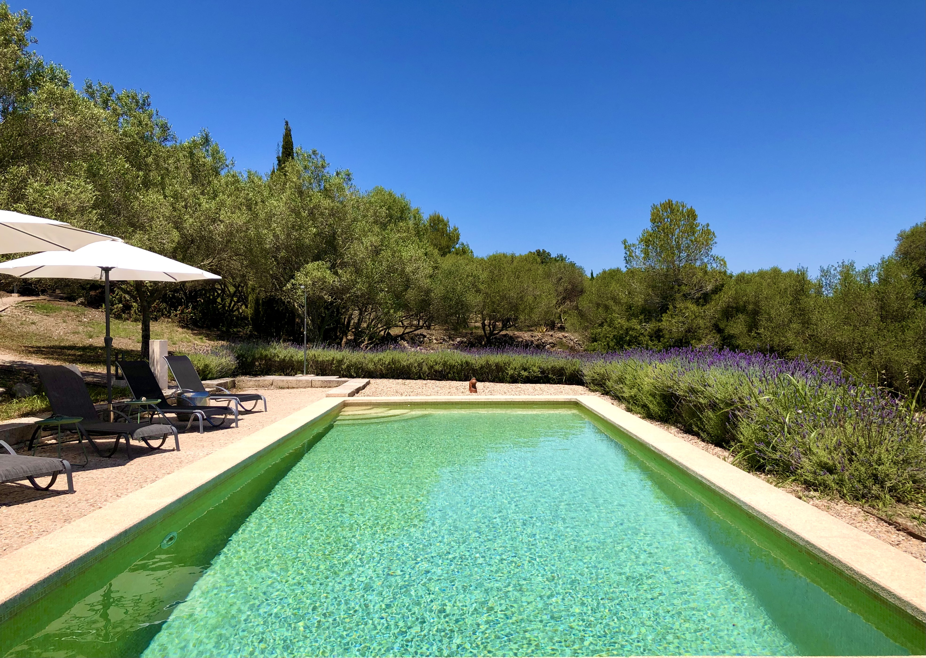 Romantic light-flooded Finca with pool