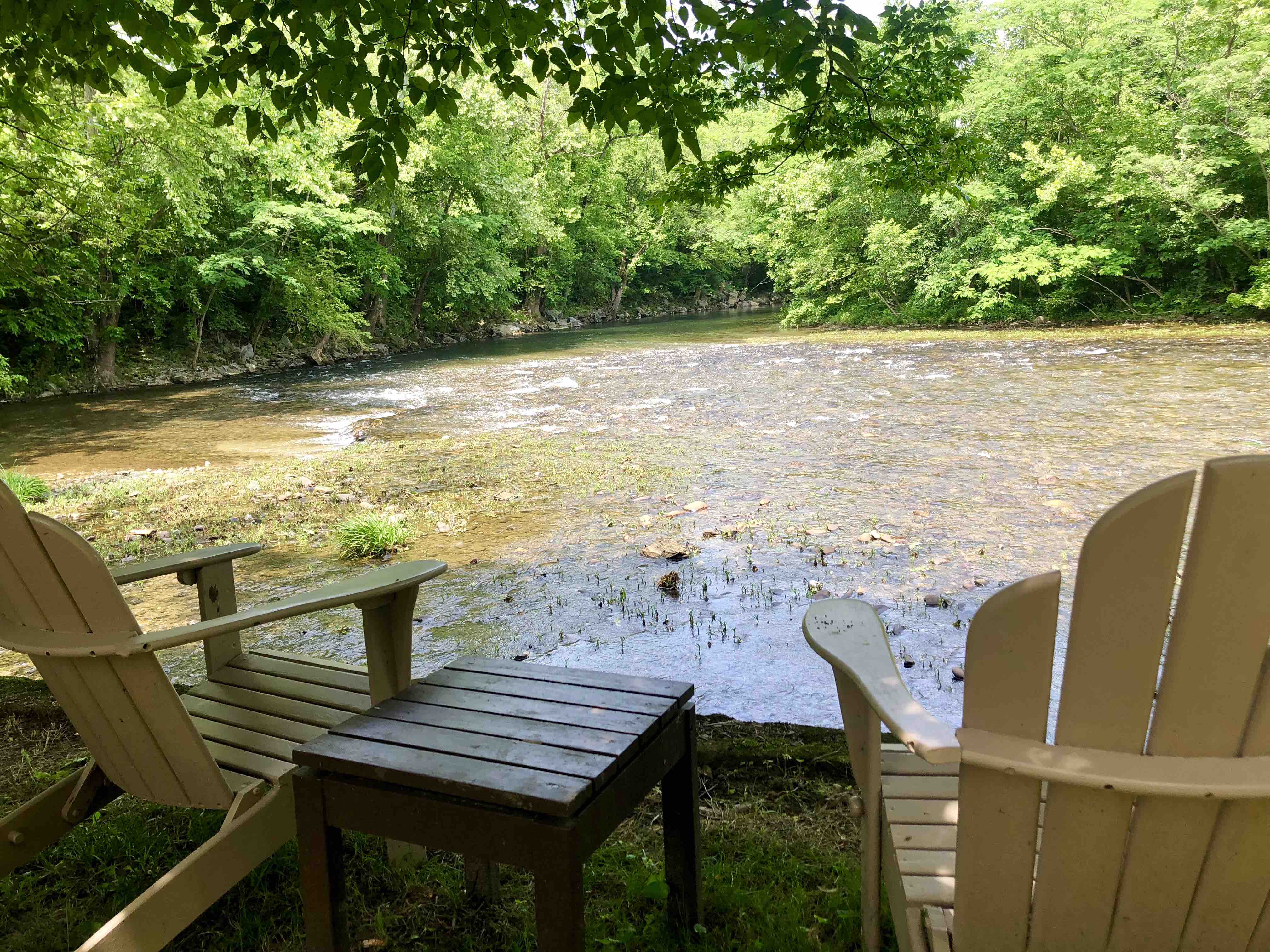 River Retreat in the Smokies! Apartments for Rent in Townsend