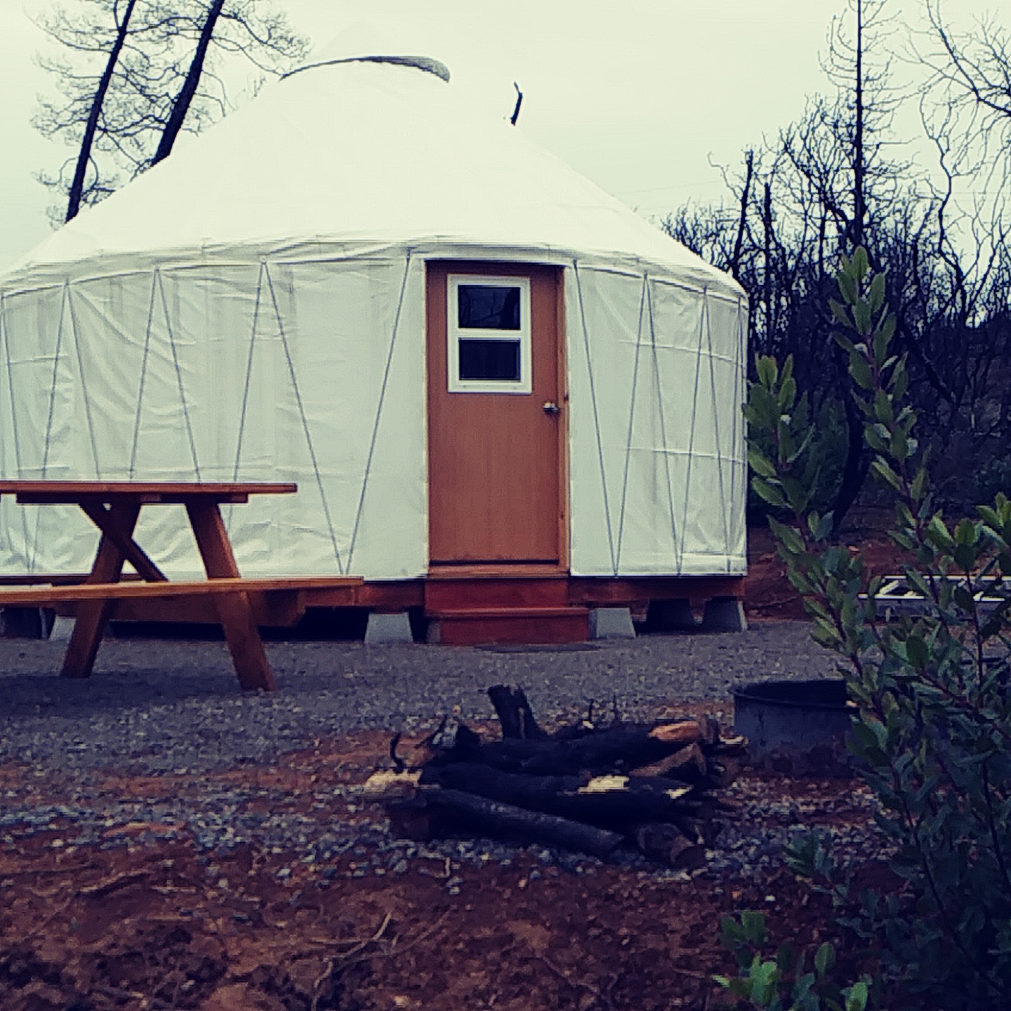 Rock House Yurt in the woods
