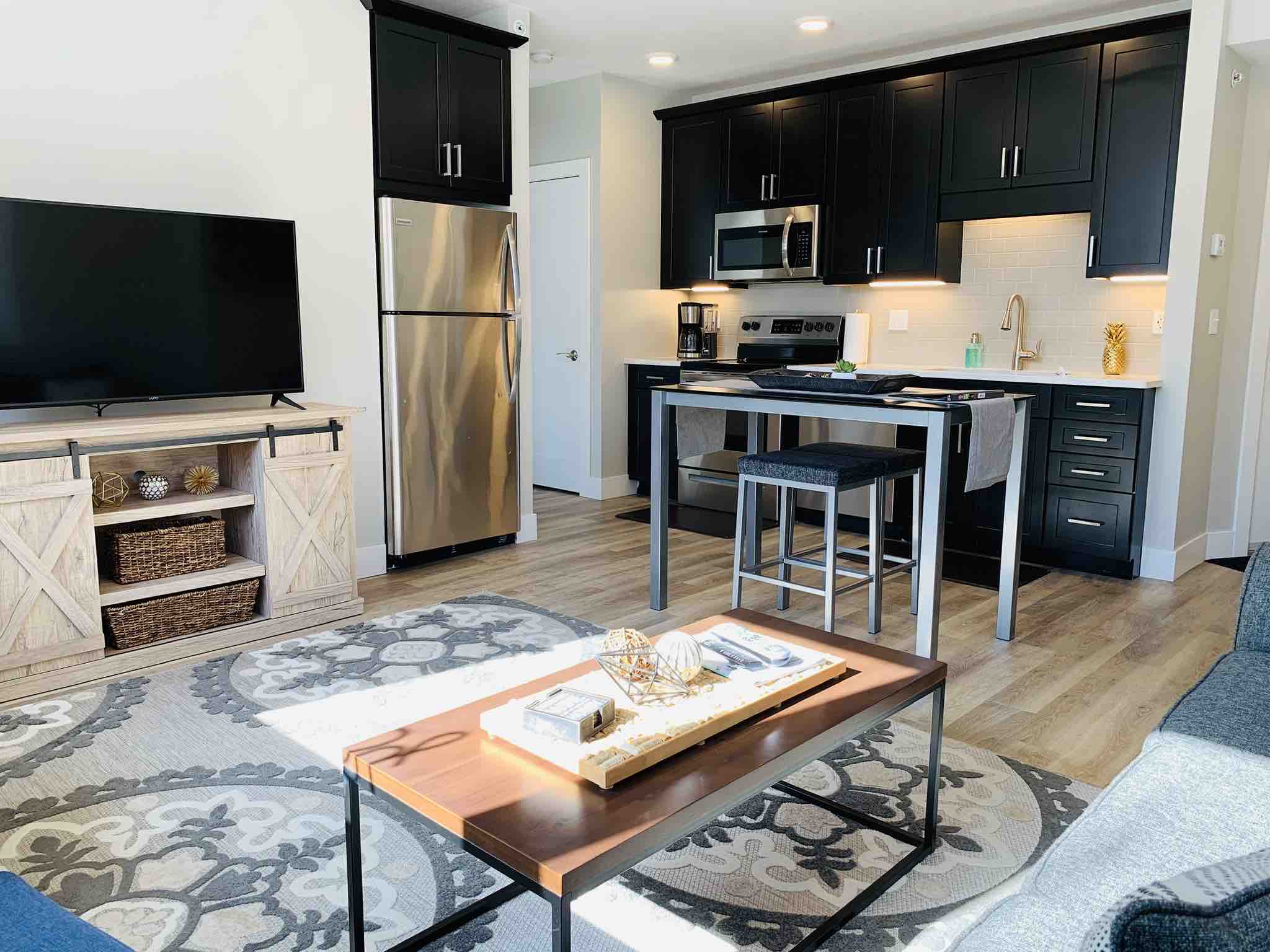 Capri 001 Comfy New Downtown TC Condo Condominiums for Rent in