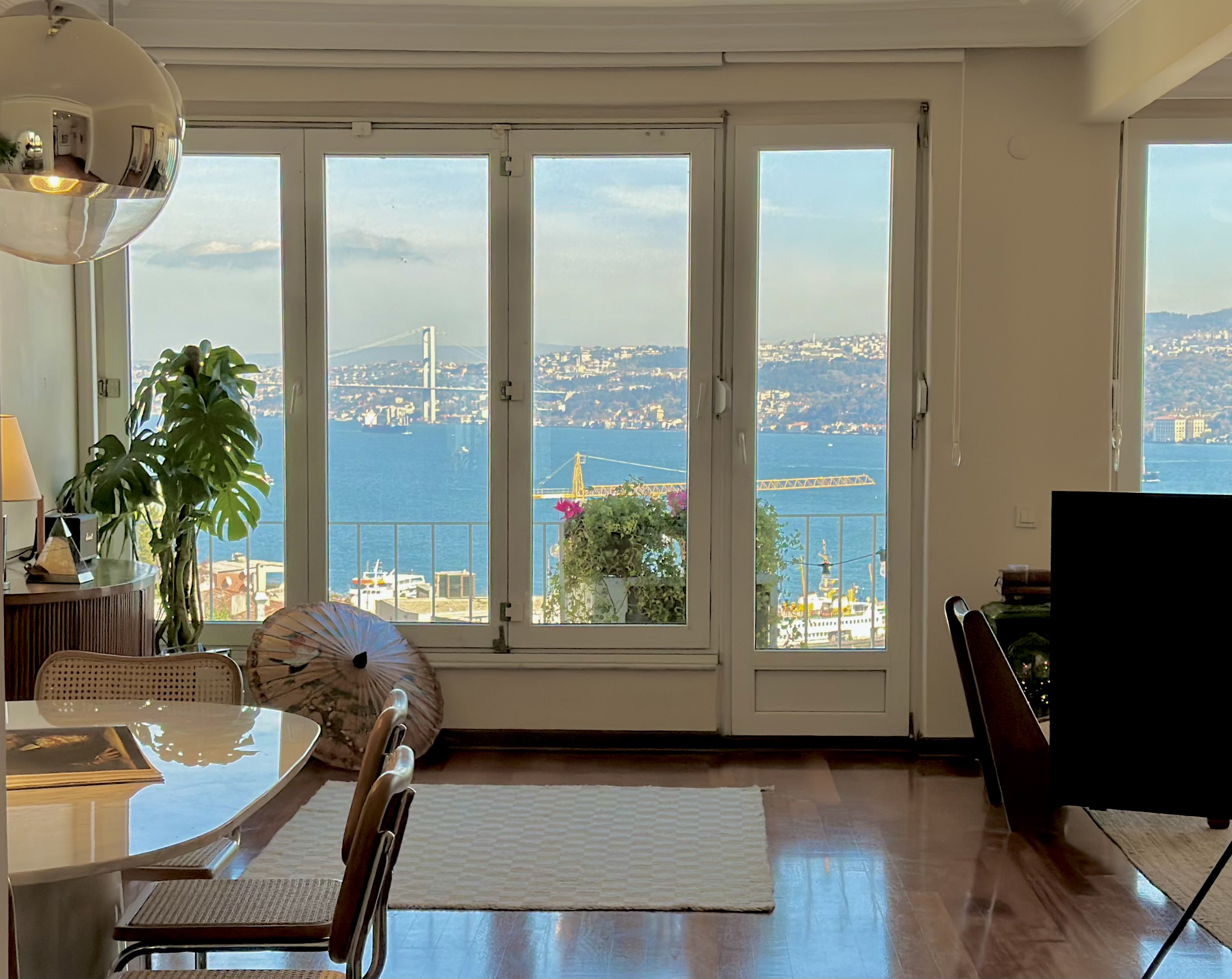 Magnificent Bosphorus View
