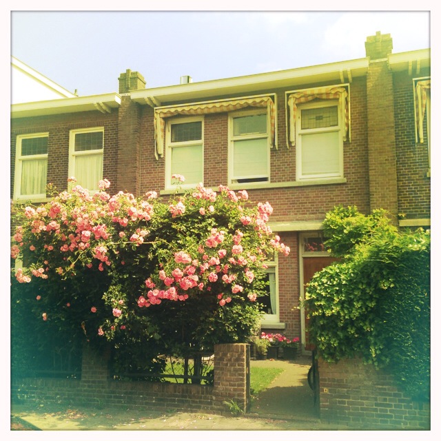 Perfect family house near the beach — The Hague stay
