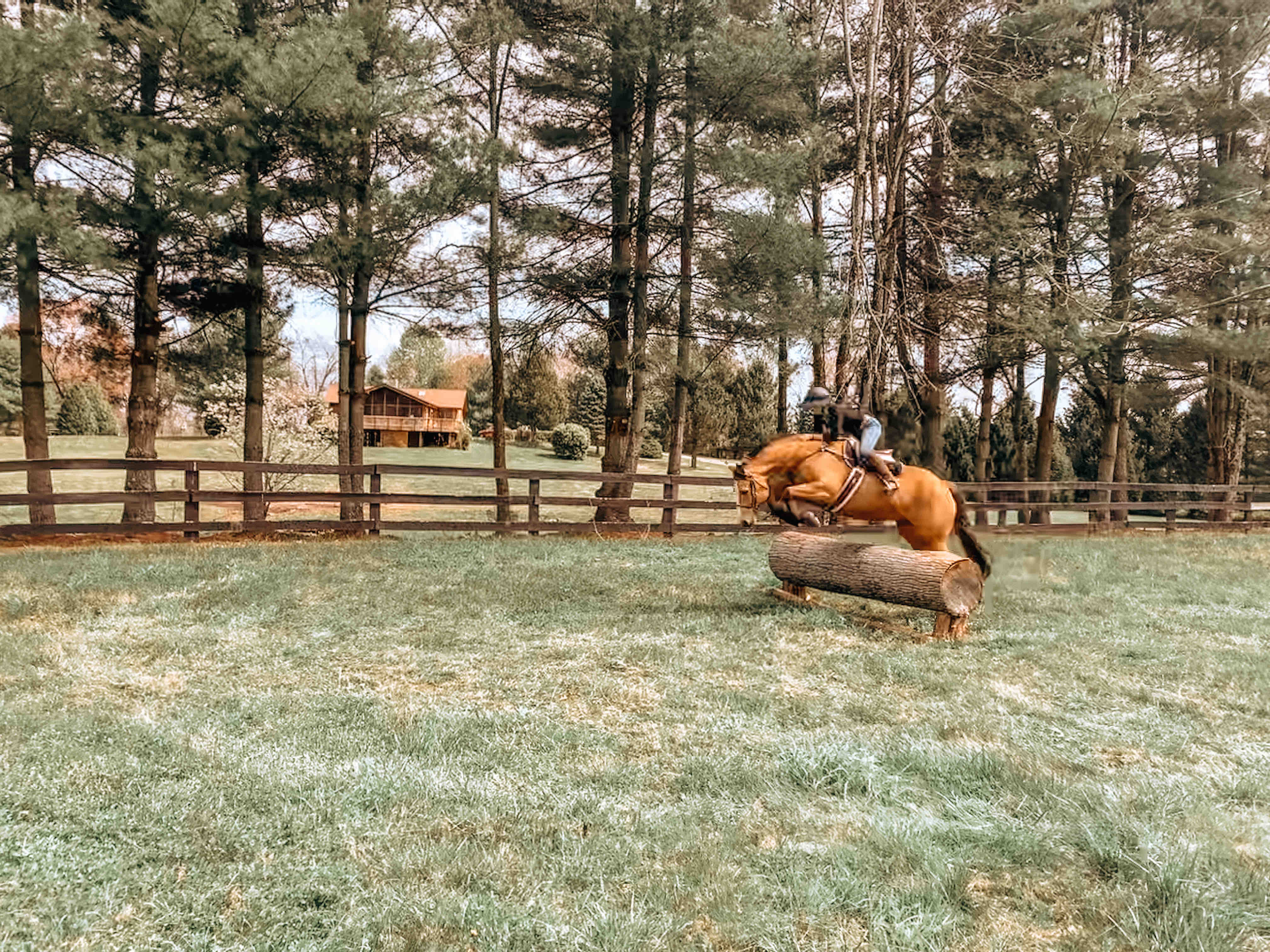 Beechwood View Farmhouse Farm stays for Rent in Rixeyville, Virginia