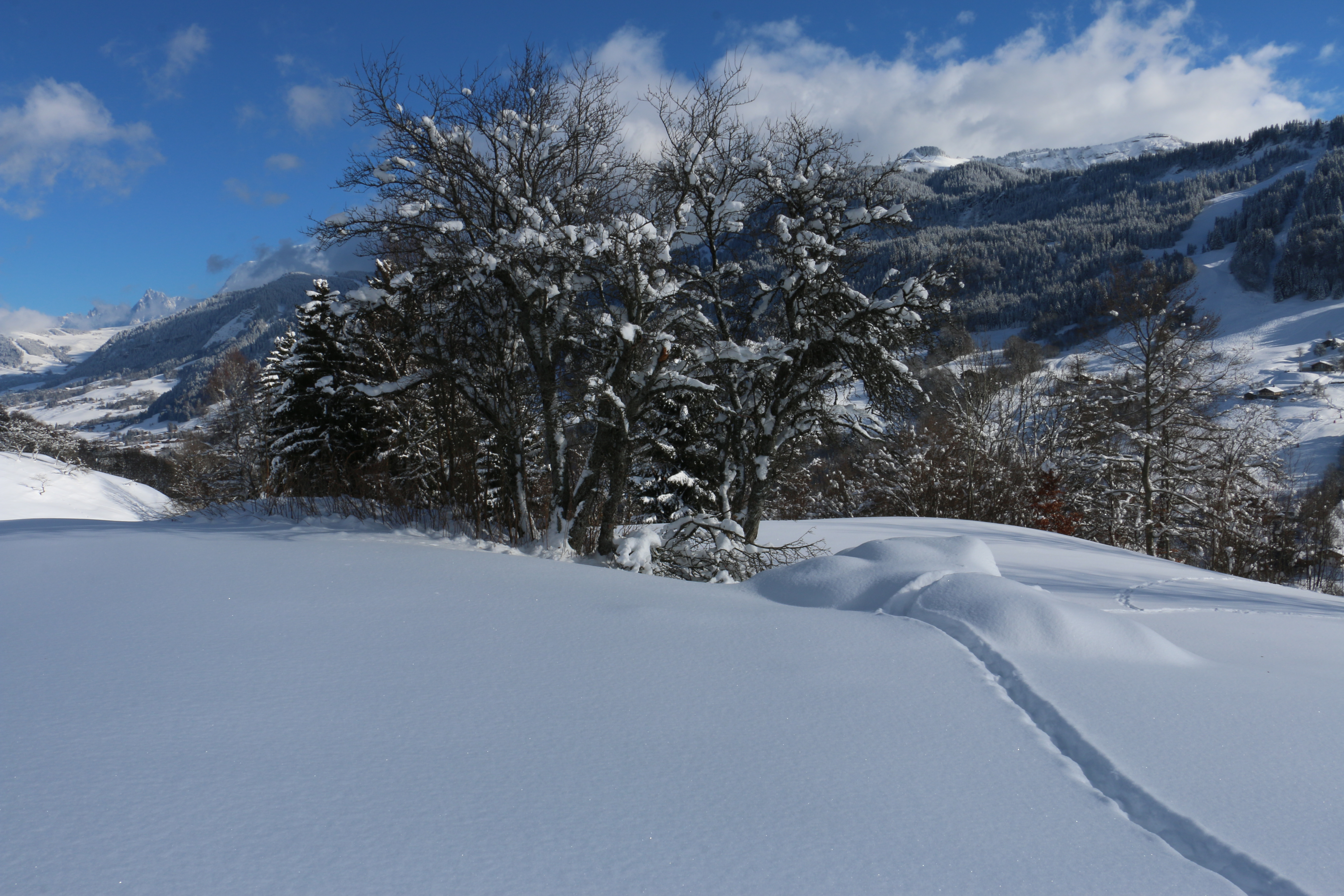 Petit Chalet De Montagne Chalets For Rent In Flumet Auvergne Rhone Alpes France