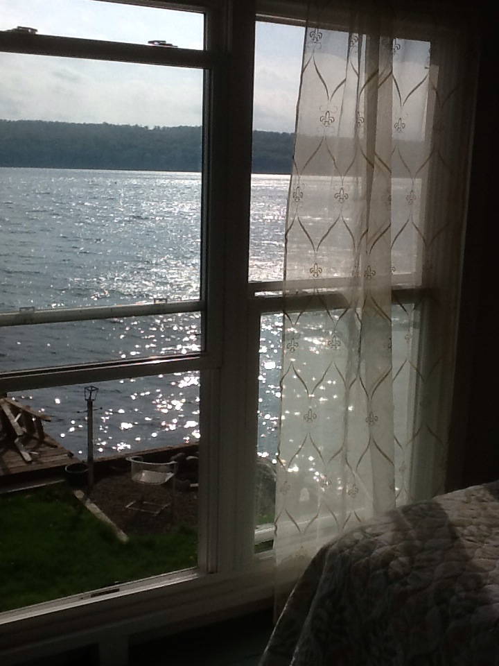 Cottage directly on Cayuga Lake Cottages for Rent in Ithaca, New York