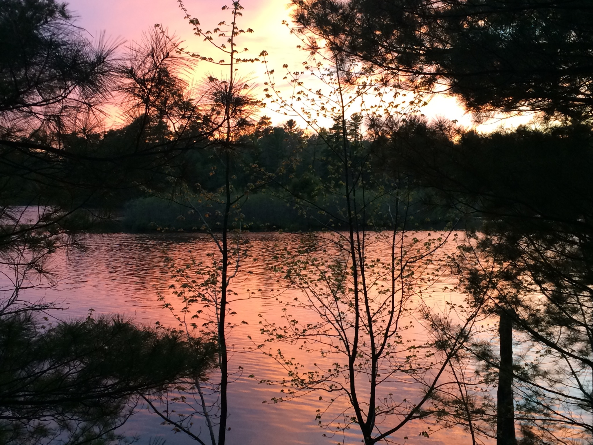 Beautiful Cozy Lake Cabin in Woods Cabins for Rent in Manitowish