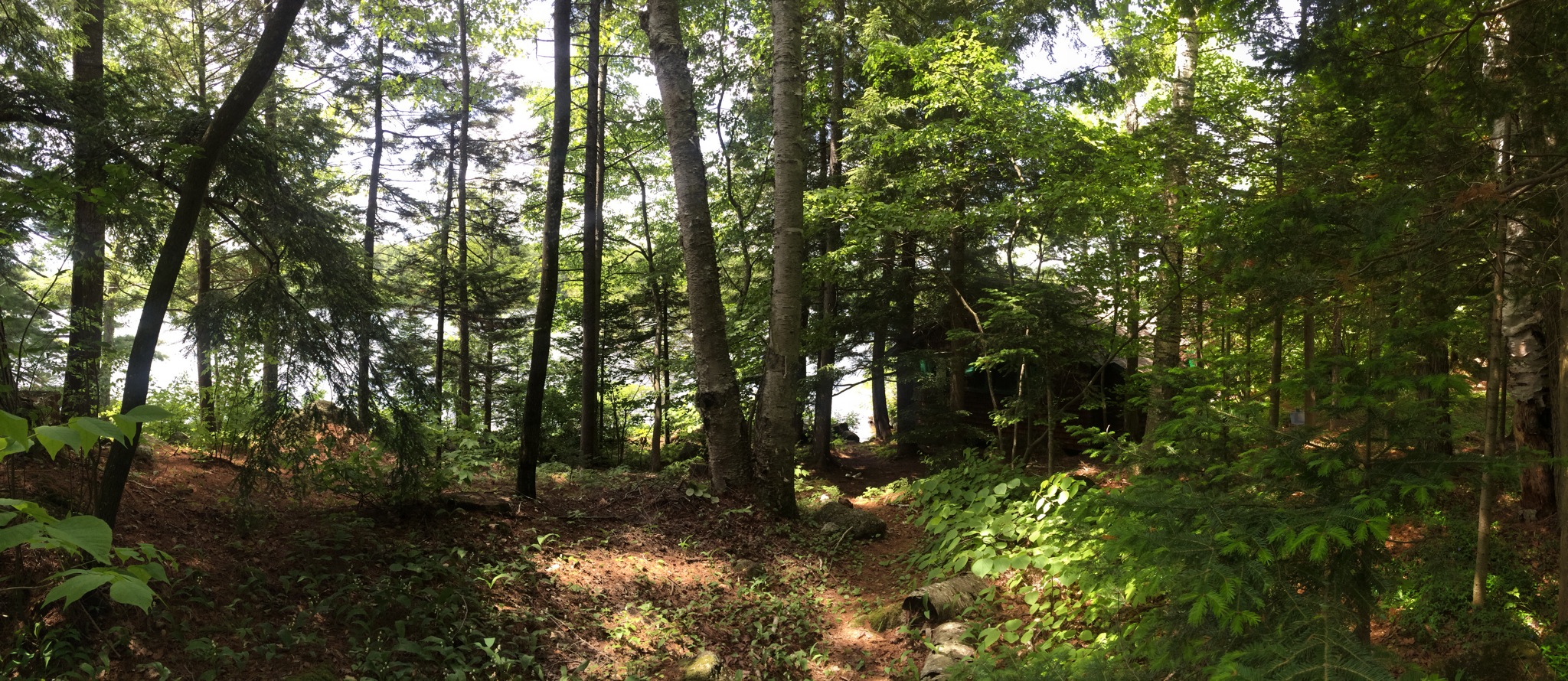 Rustic Lakefront Cabin for 6! Cabins for Rent in Stoddard, New