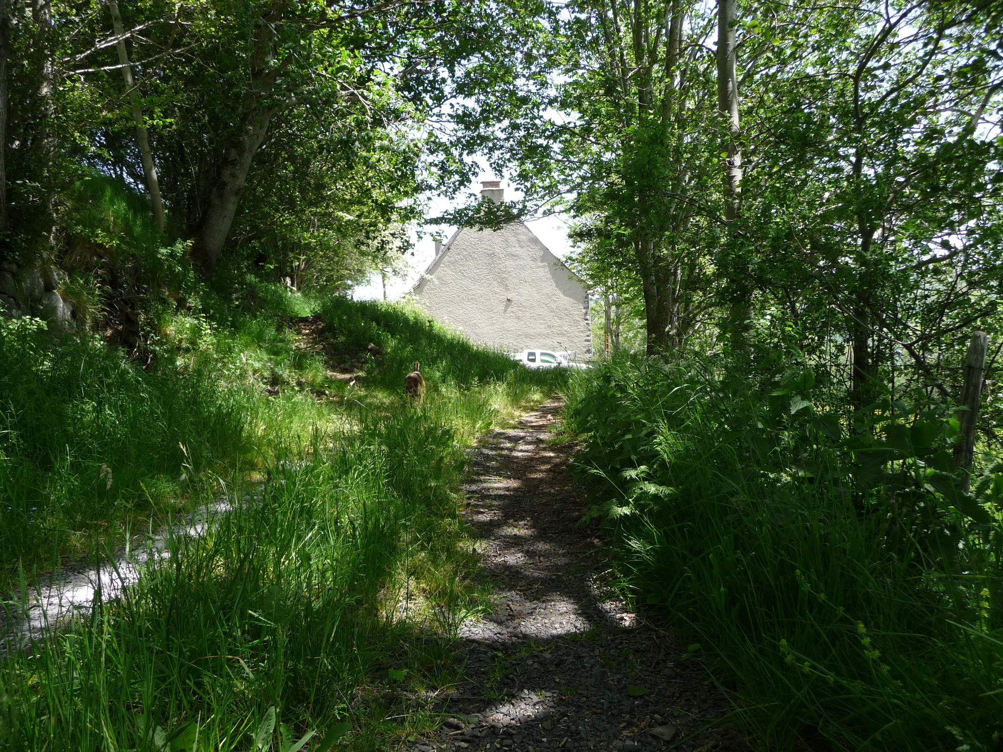La Grange, au bout du chemin...  Maisons à louer à Dienne, Auvergne