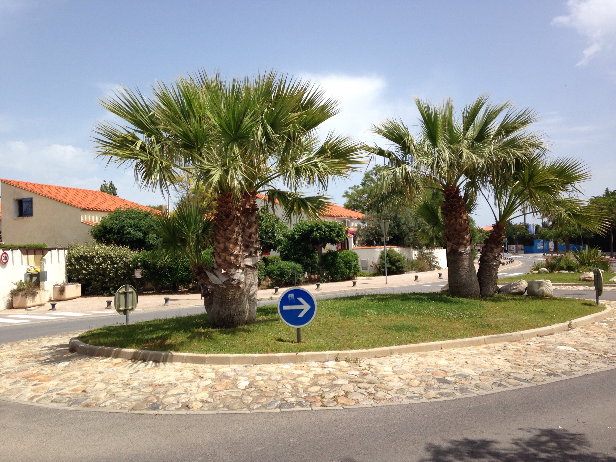 Villa in Torreilles beach