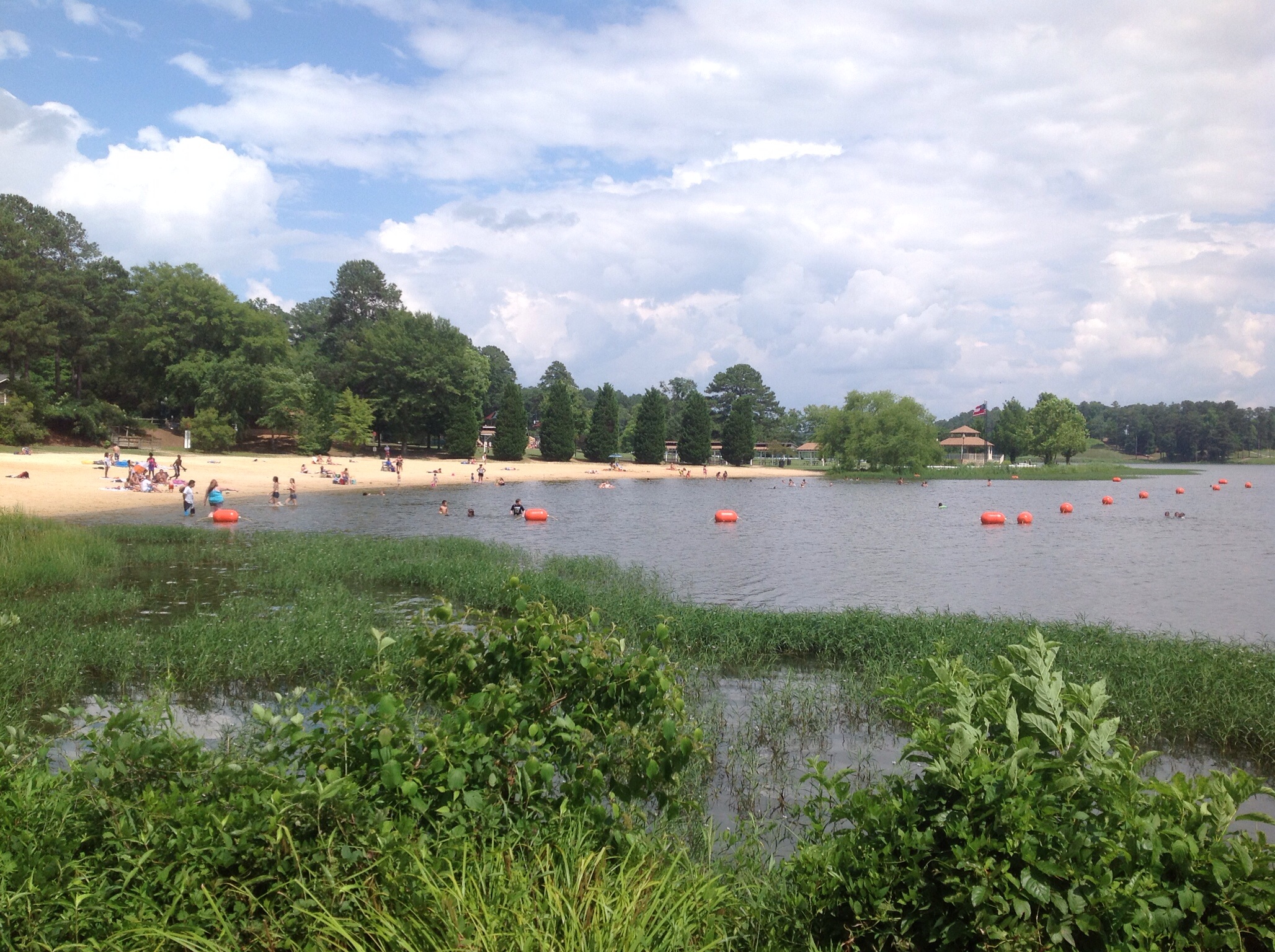 Charming studio at Lake Acworth Houses for Rent in Acworth,