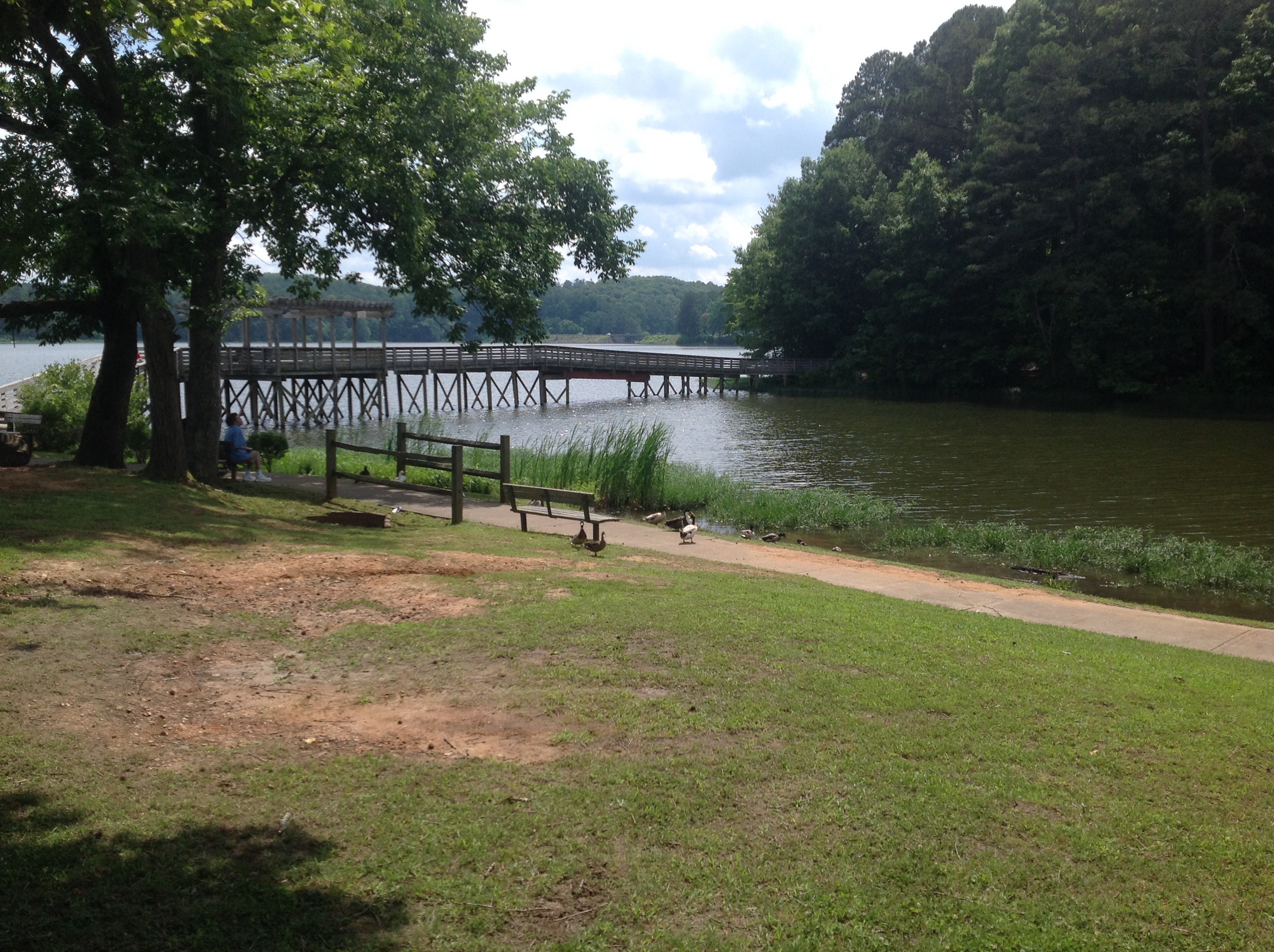 Charming studio at Lake Acworth Houses for Rent in Acworth,
