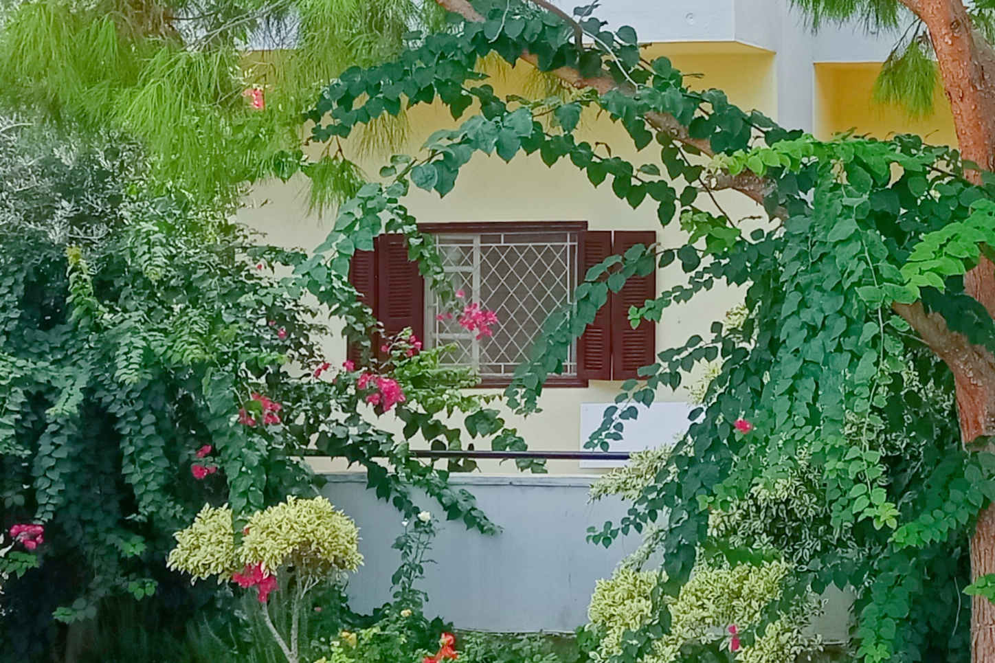 Cozy Apartment With Lovely Terrace