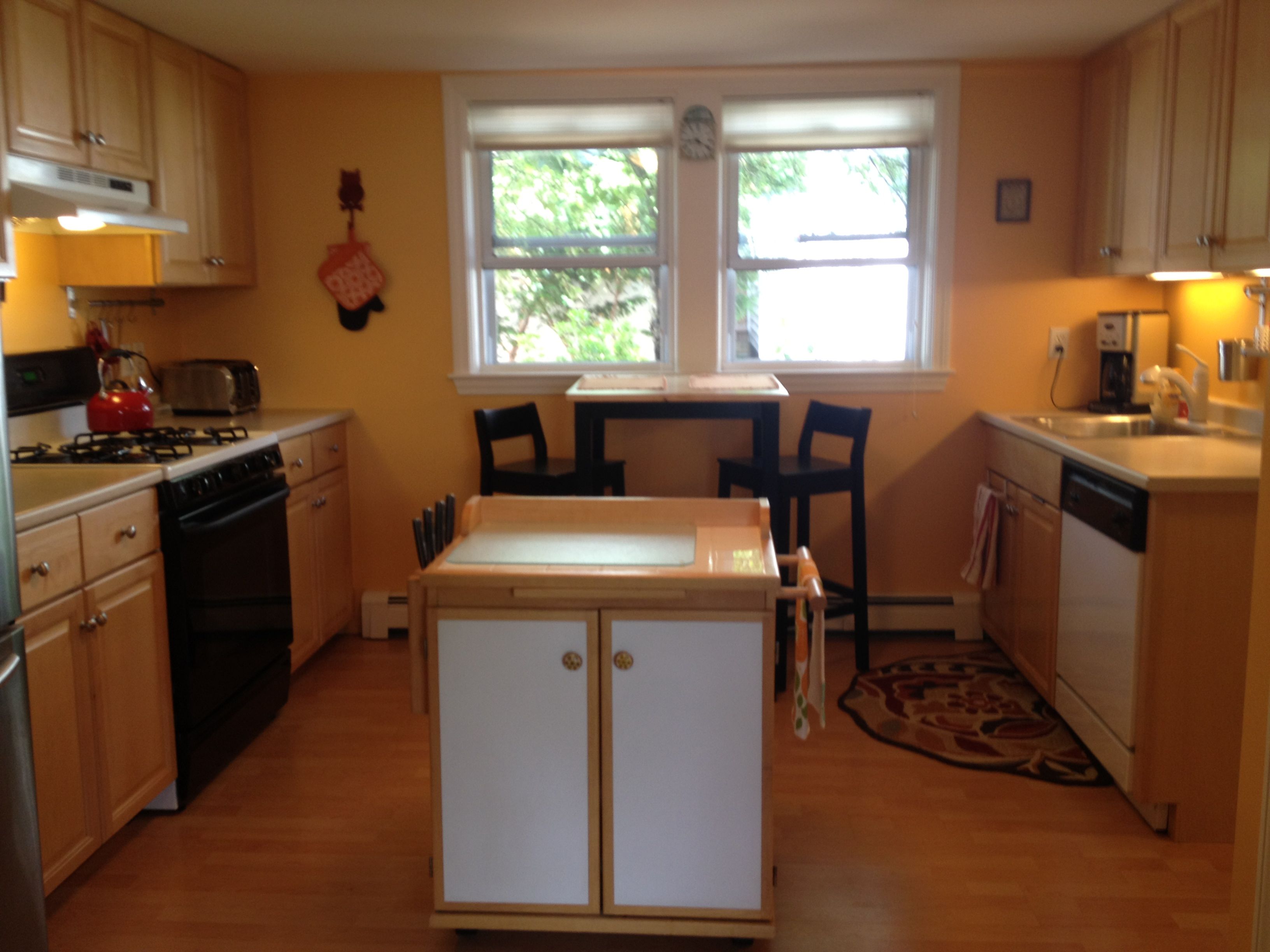 WELLAPPOINTED, BRIGHT AND SPACIOUS Apartments for Rent in Cambridge