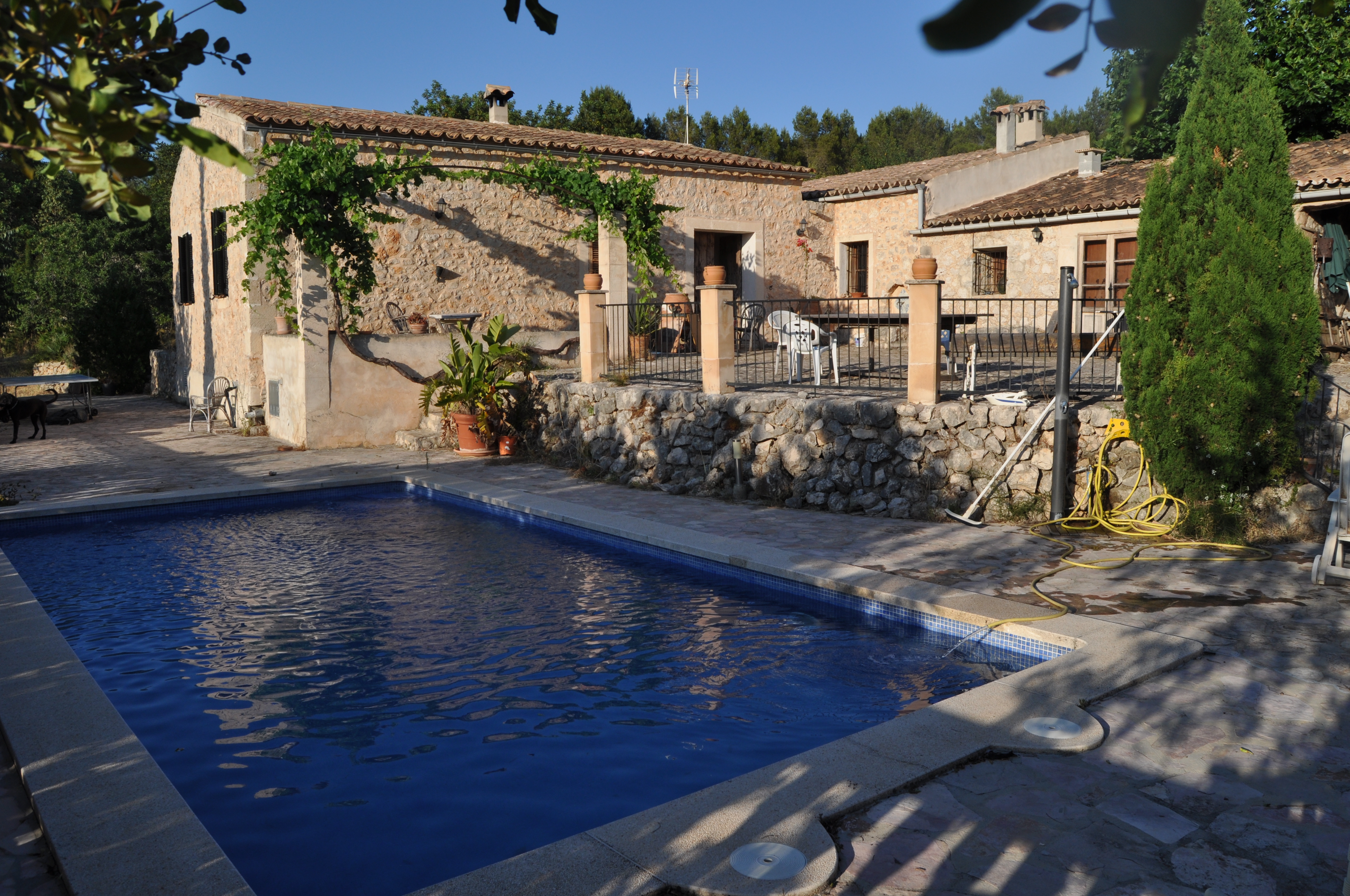 S'Olivar de Can Blai in Selva, Mallorca