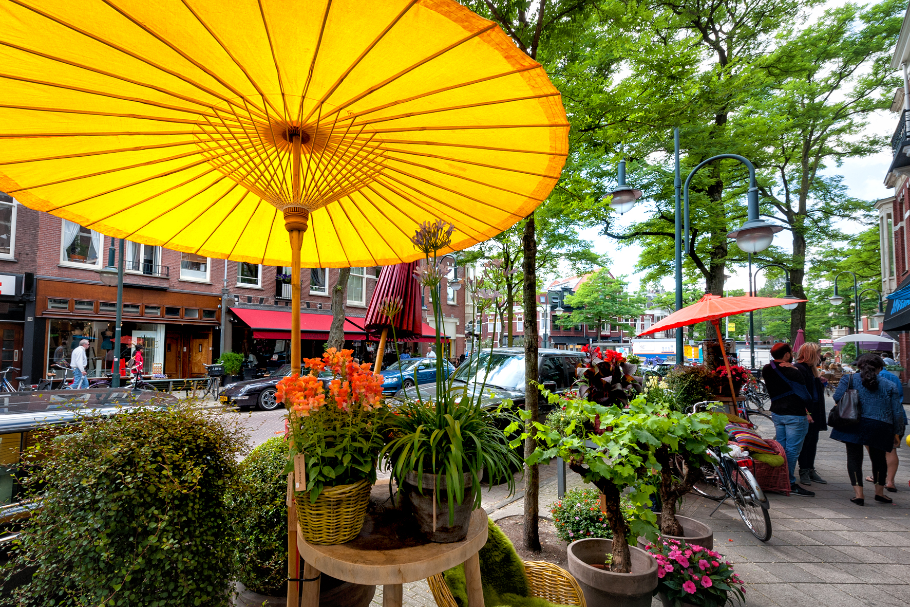 Romantic and comfortable near cultural highlights — Amsterdam stay