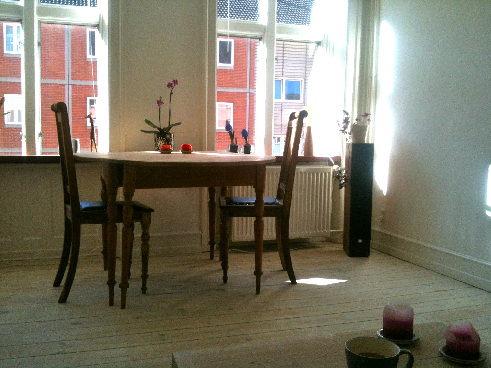 Really cozy apartment with 2 bikes in Frederiksberg, Copenhagen