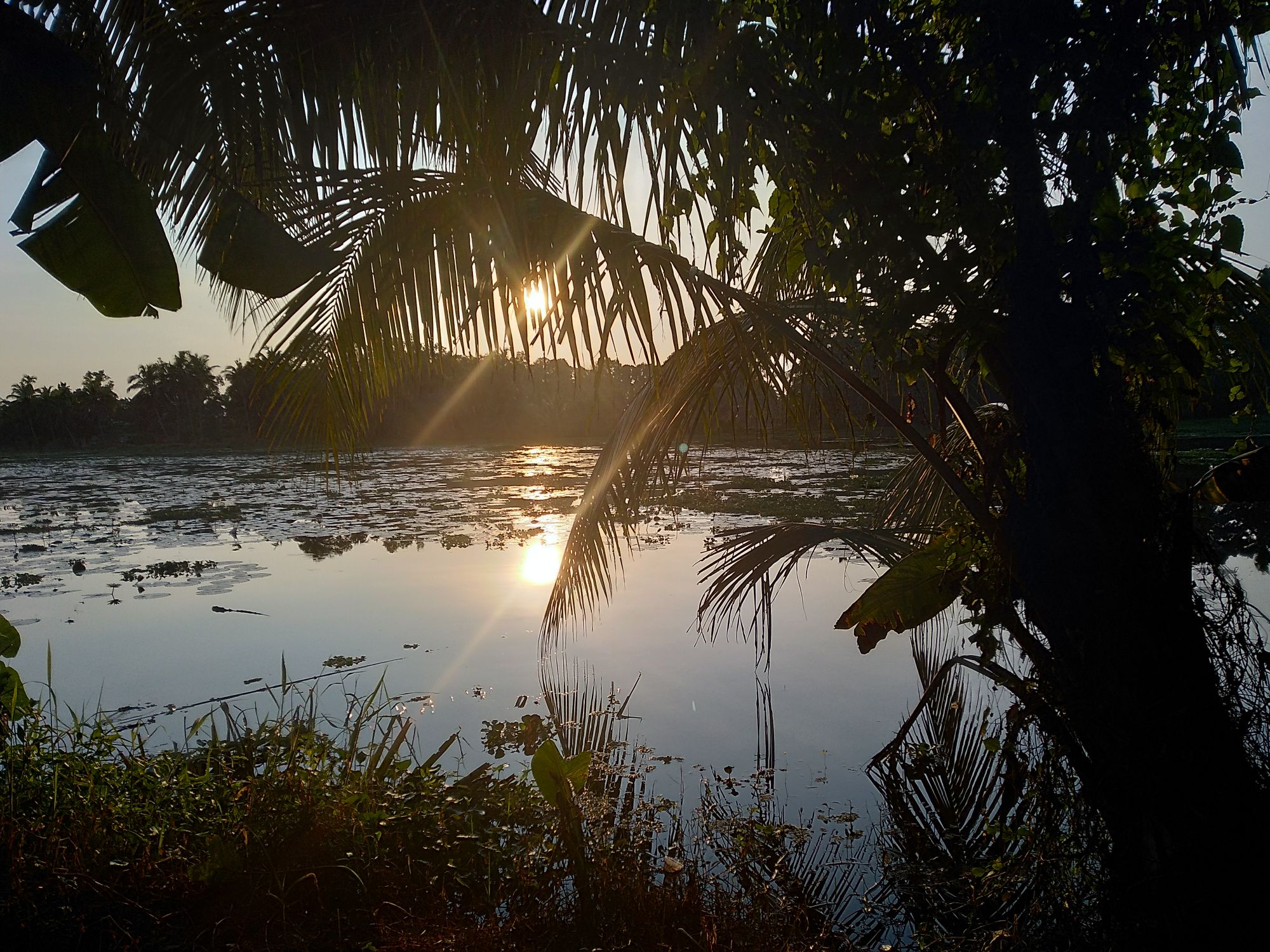 Waterfront Traditional Home Bungalows for Rent in Kerala, Kerala