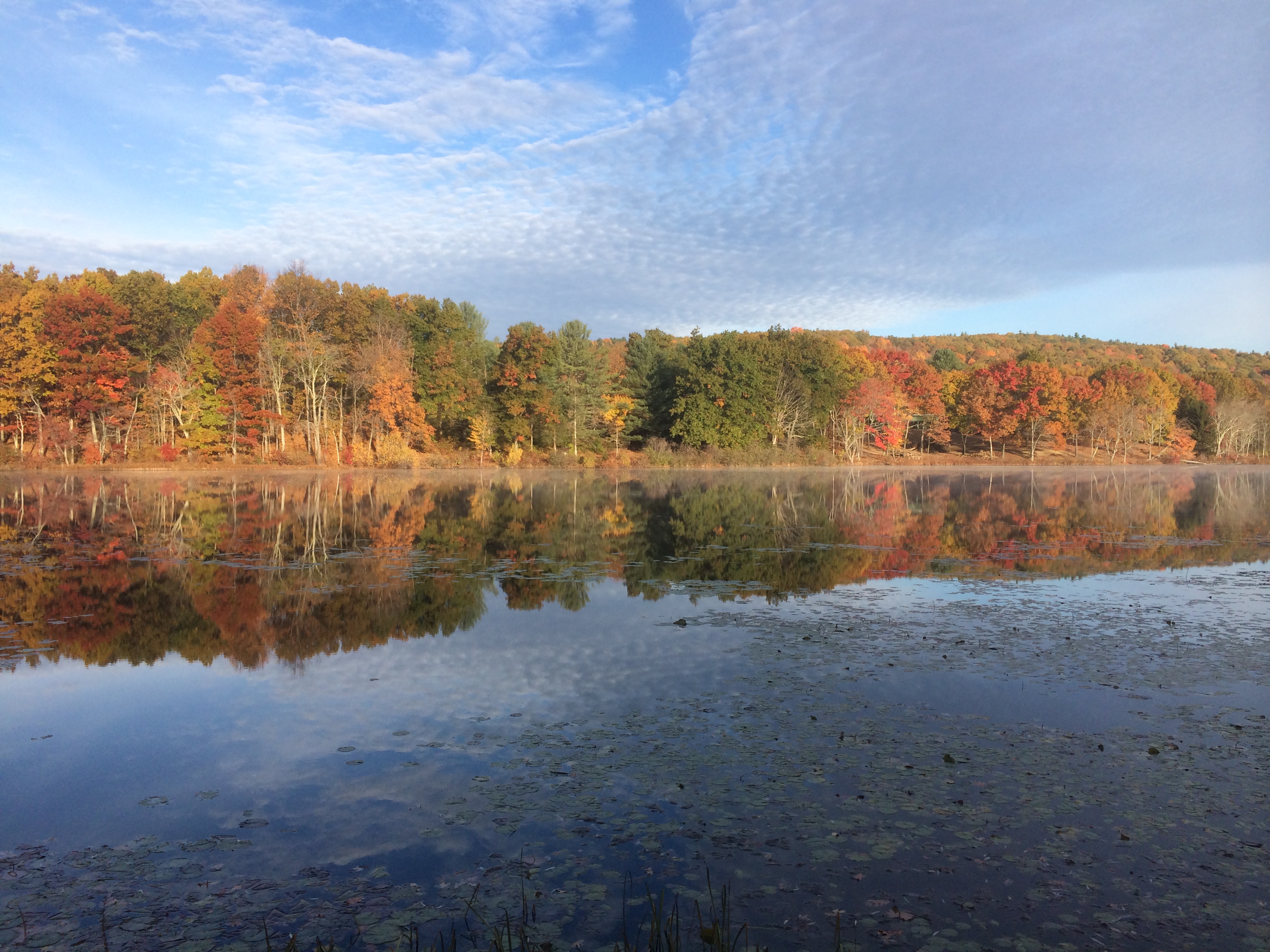 Peaceful & Private Lakefront Apartment near Omega