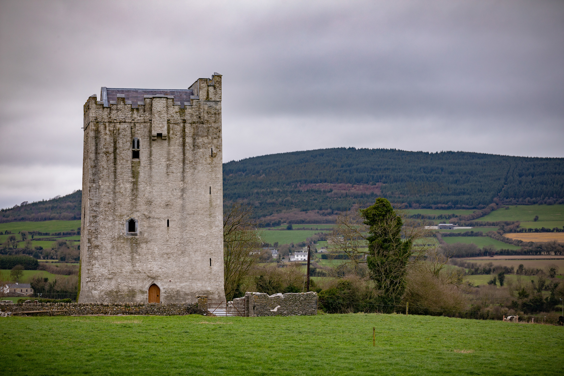 Tubbrid Castle Your 15th Century Irish Castle Castles For Rent In Kilkenny City Kilkenny Ireland