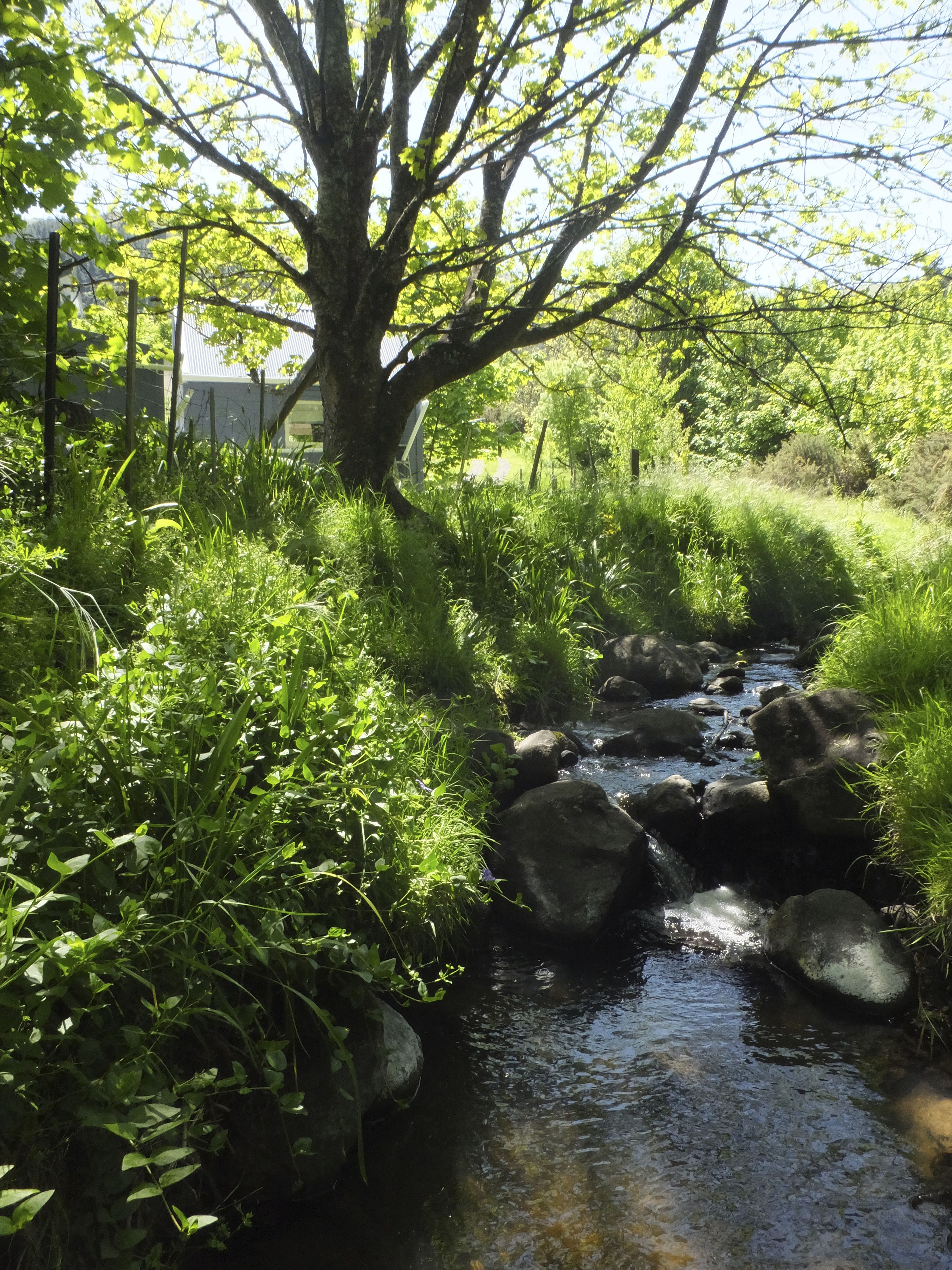 Okuti Country Cabin.  Sunny, private, peaceful.