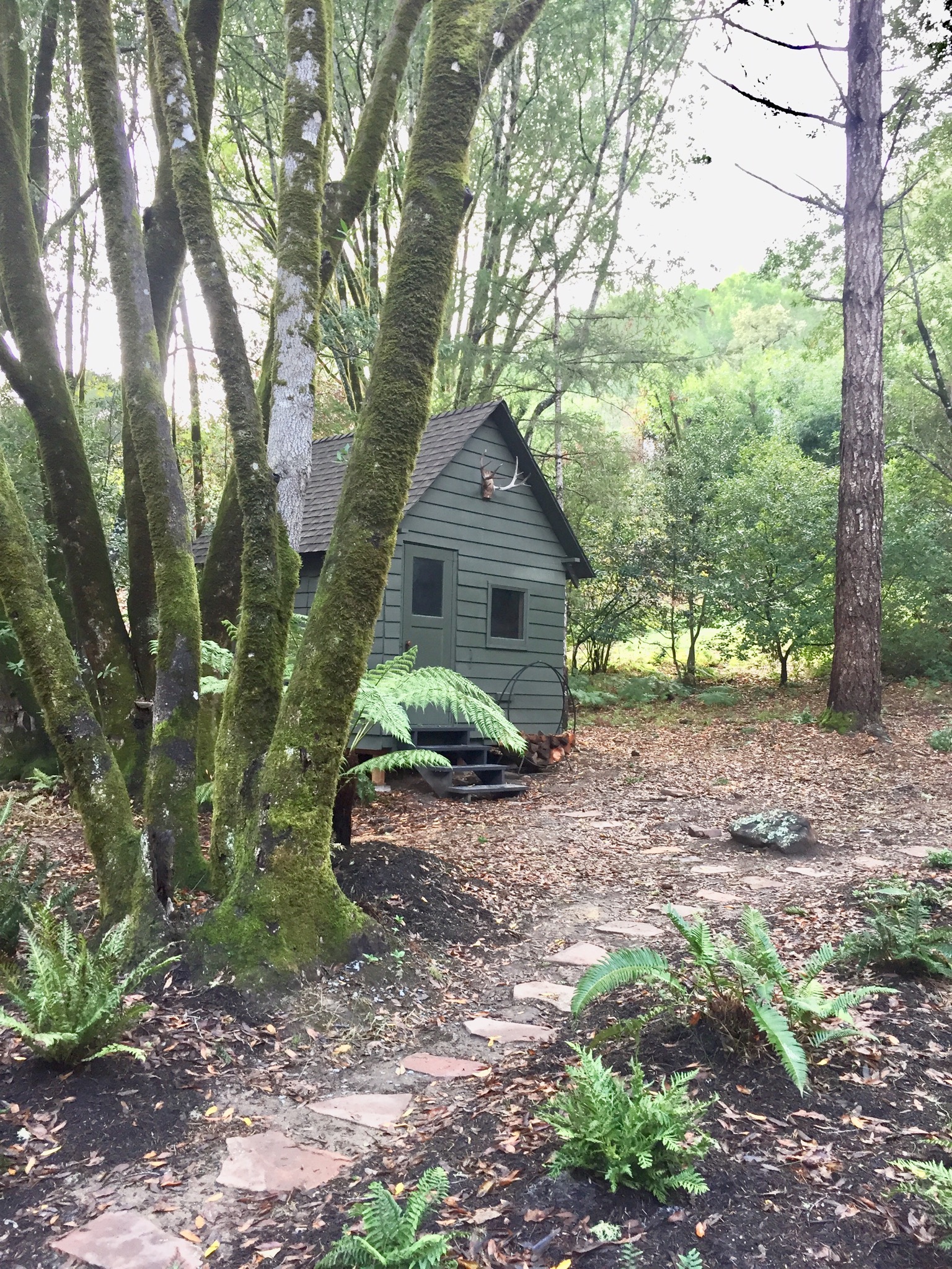 Inverness AFrame Cabins for Rent in Point Reyes Station, California