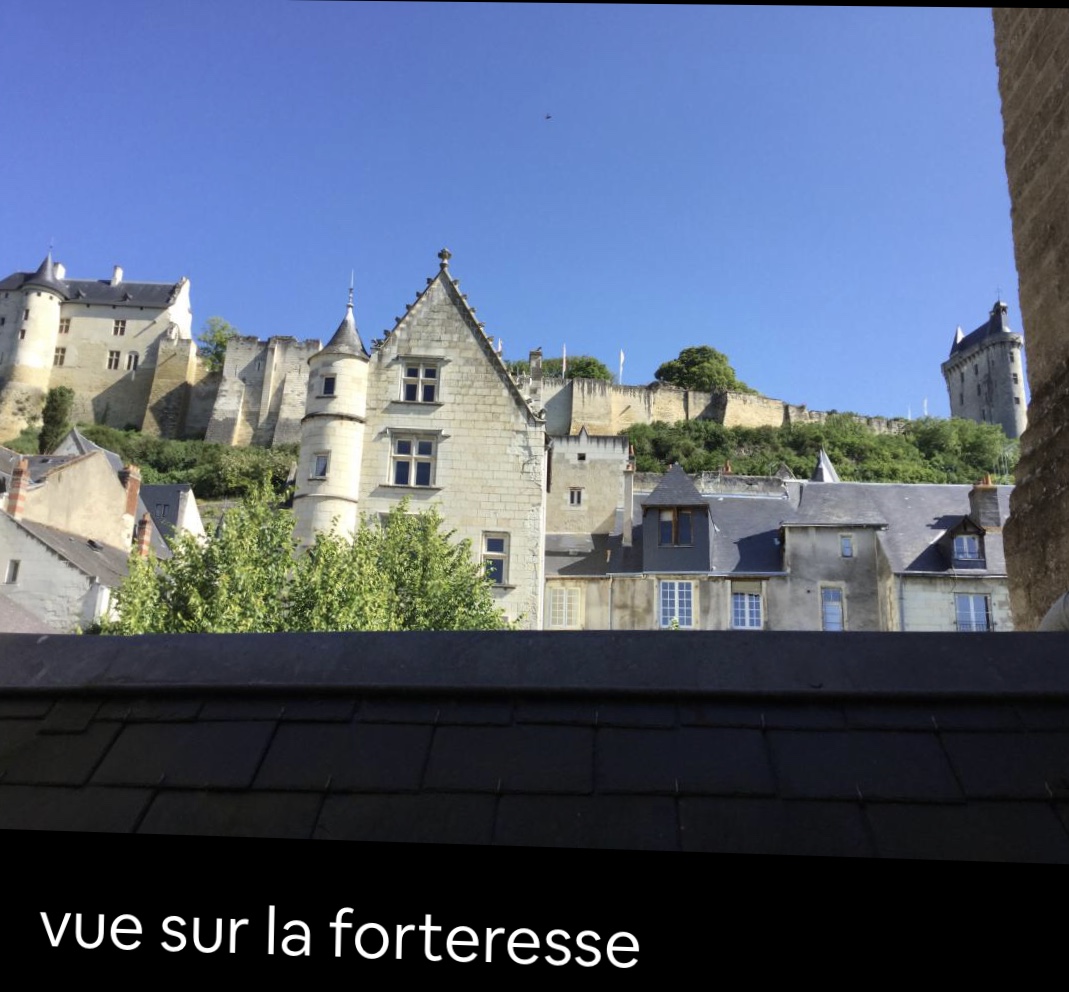 Apartment in the historical center of Chinon
