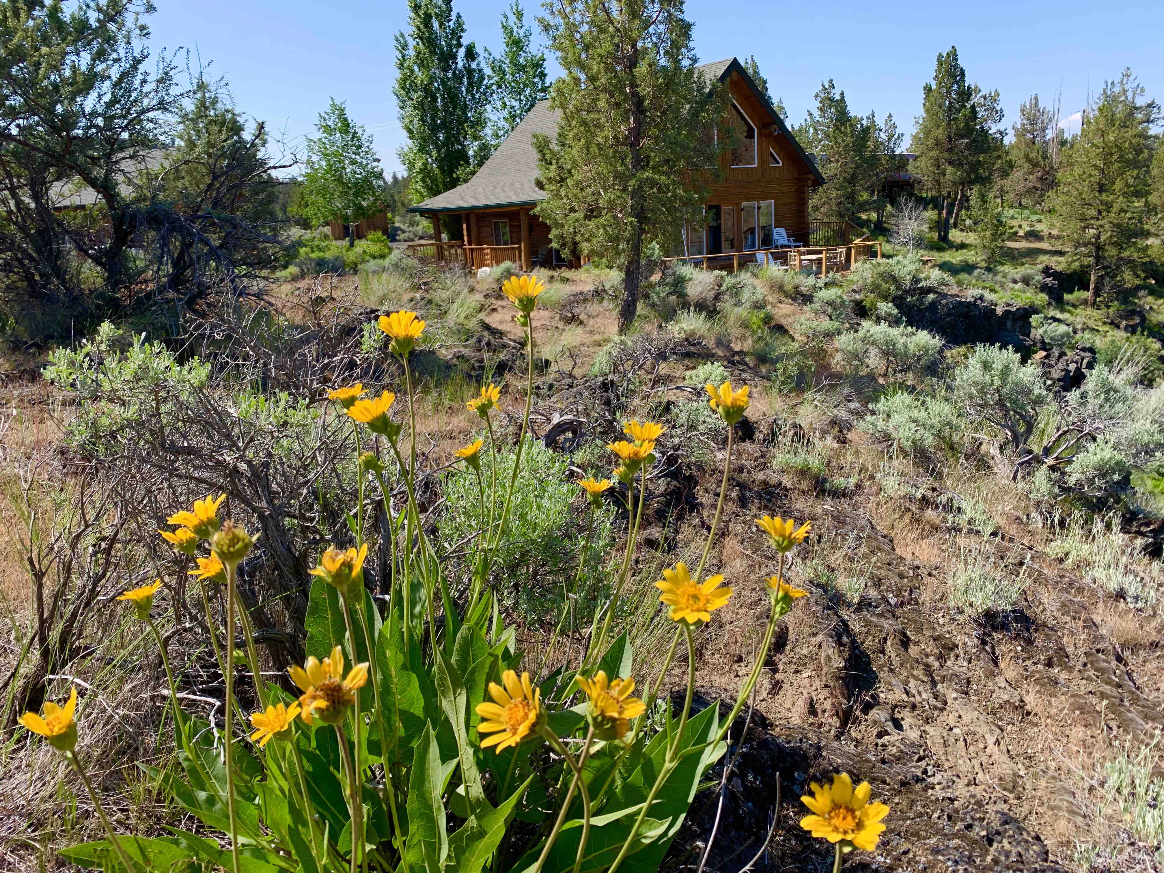 Steelhead Falls Log Cabin Cabins for Rent in Terrebonne, Oregon