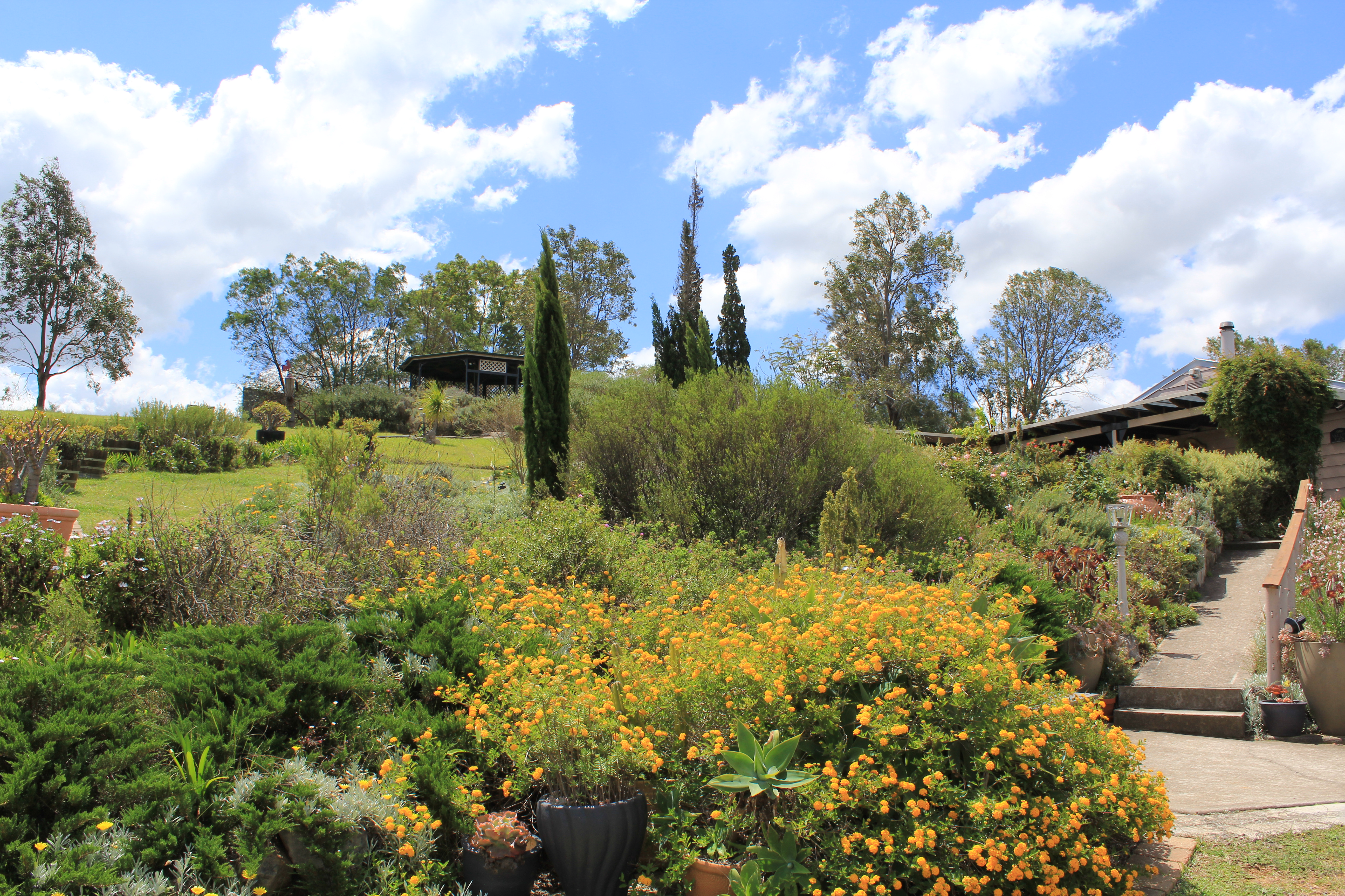 Valley View Cottage Hunter Valley, views, gardens