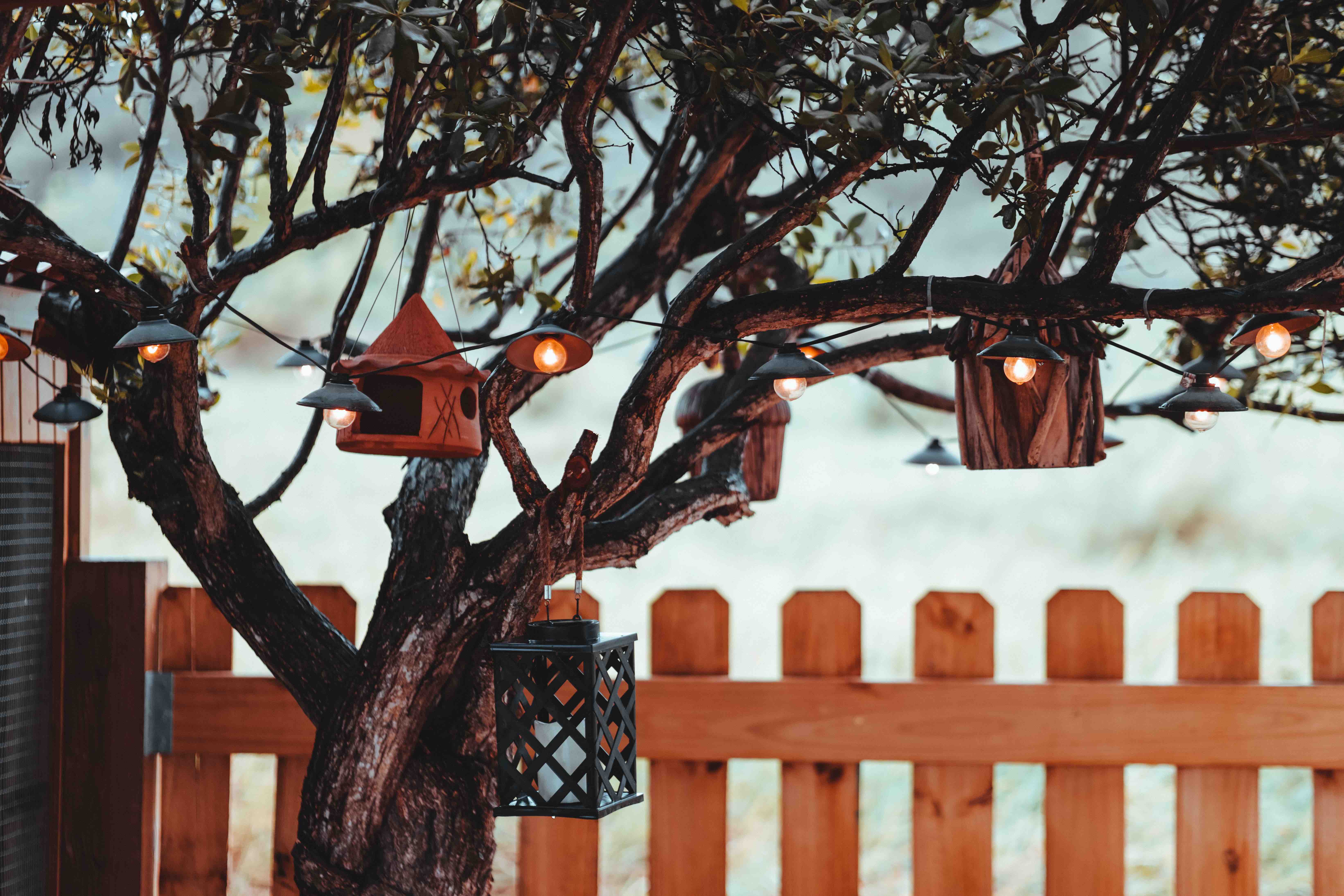 Villa Renata ⛵️Beachfront house🏝 private Pool 🏝 Villas for Rent in