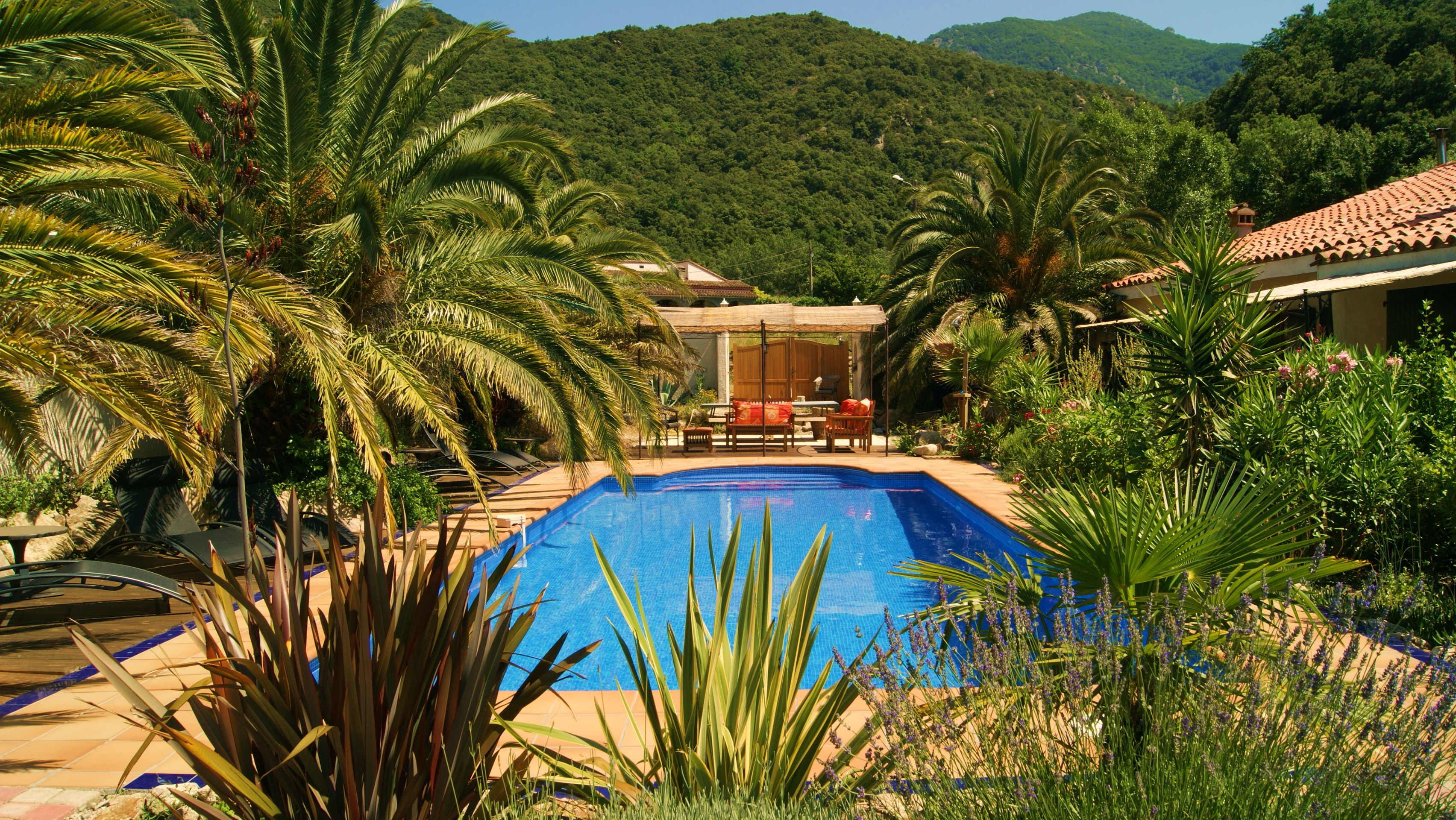 apartment, pool,near collioure